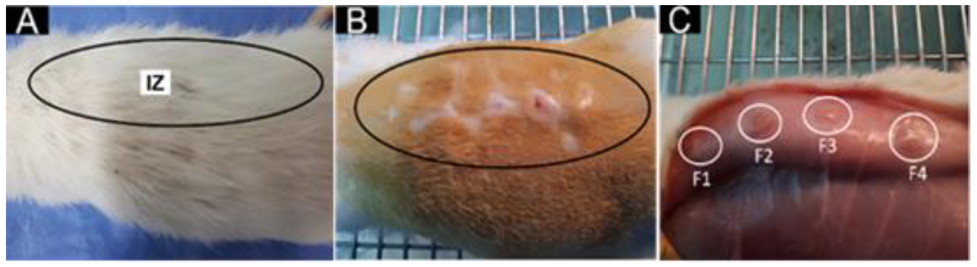 Polymers 15 00135 g007
