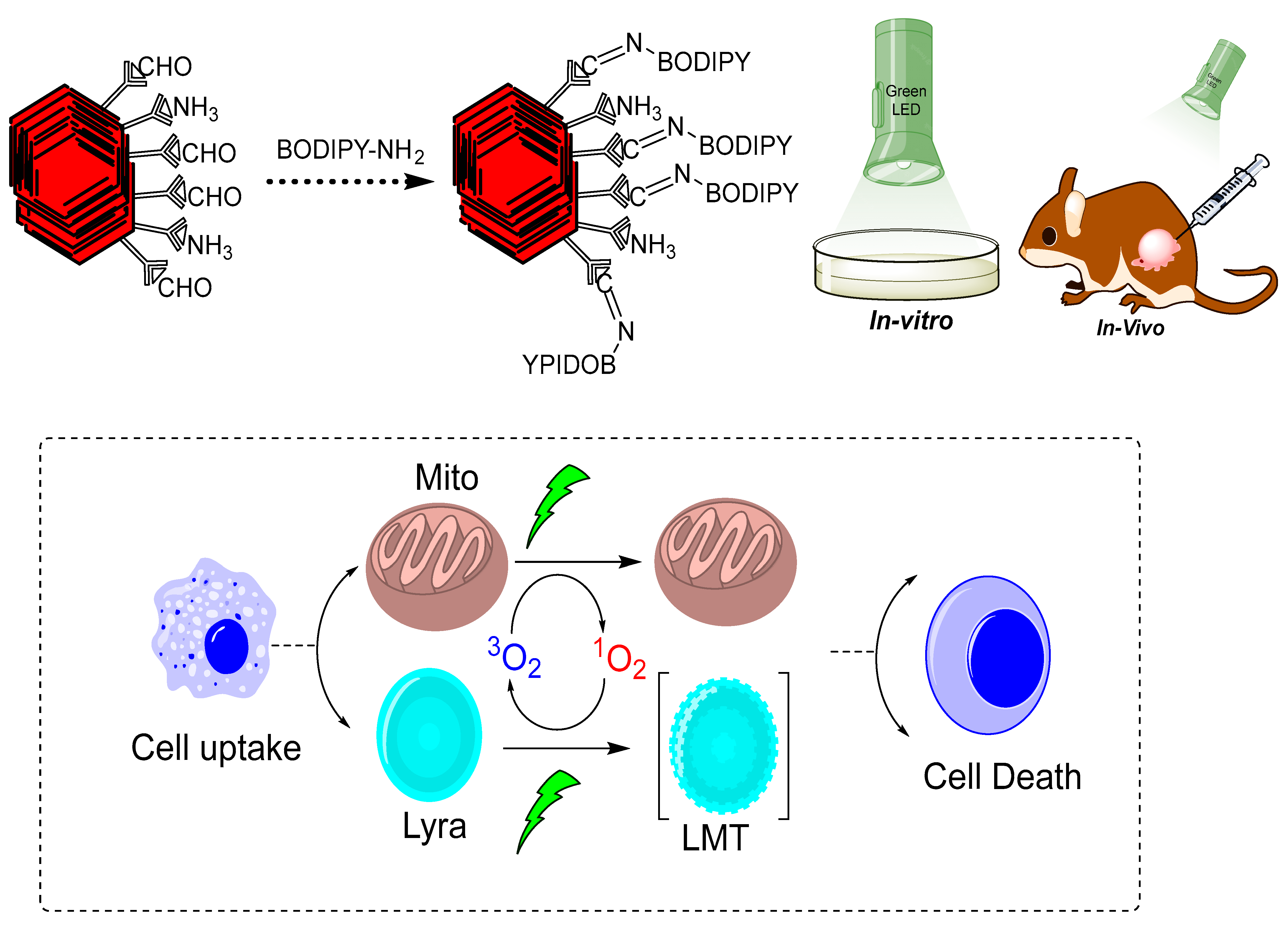 Polymers 15 00139 g004