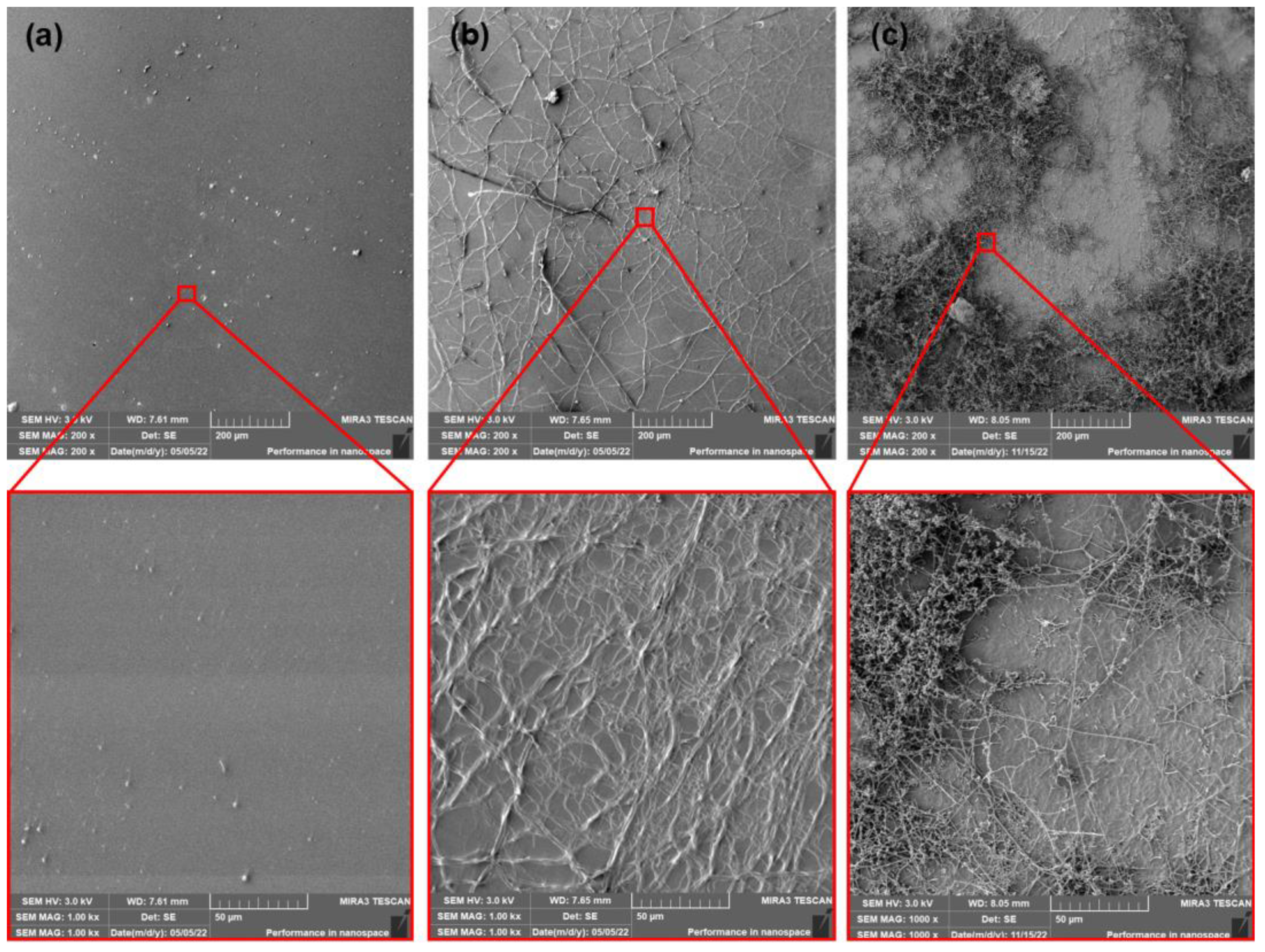 Polymers 15 00140 g015 Polymers 15 00140 g015
