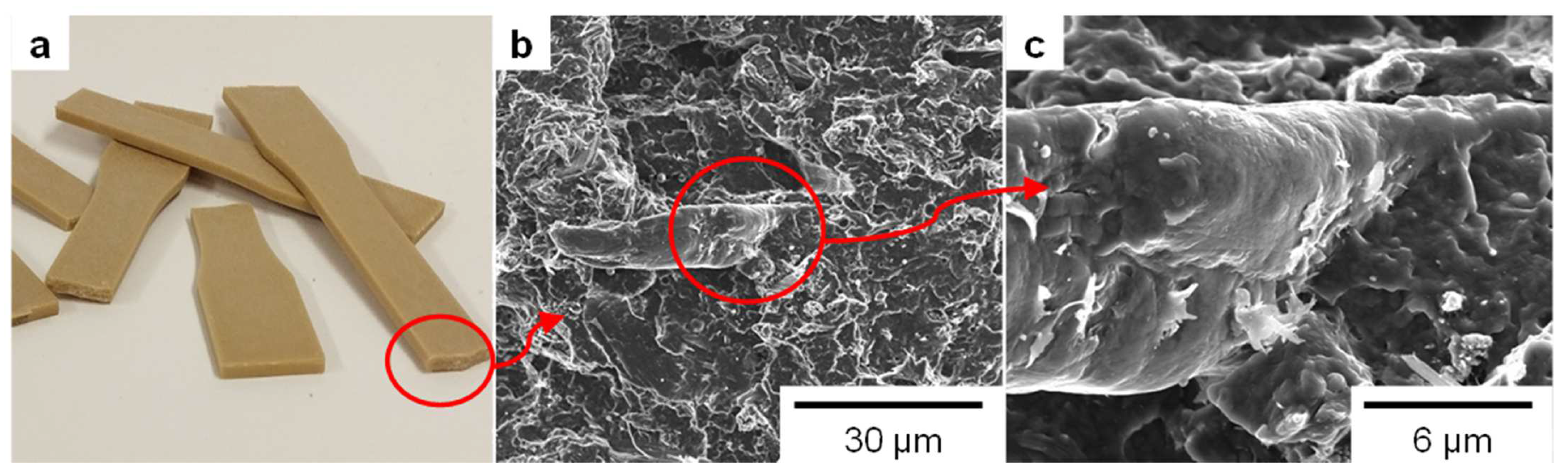 Polymers 15 00146 g004 Polymers 15 00146 g004