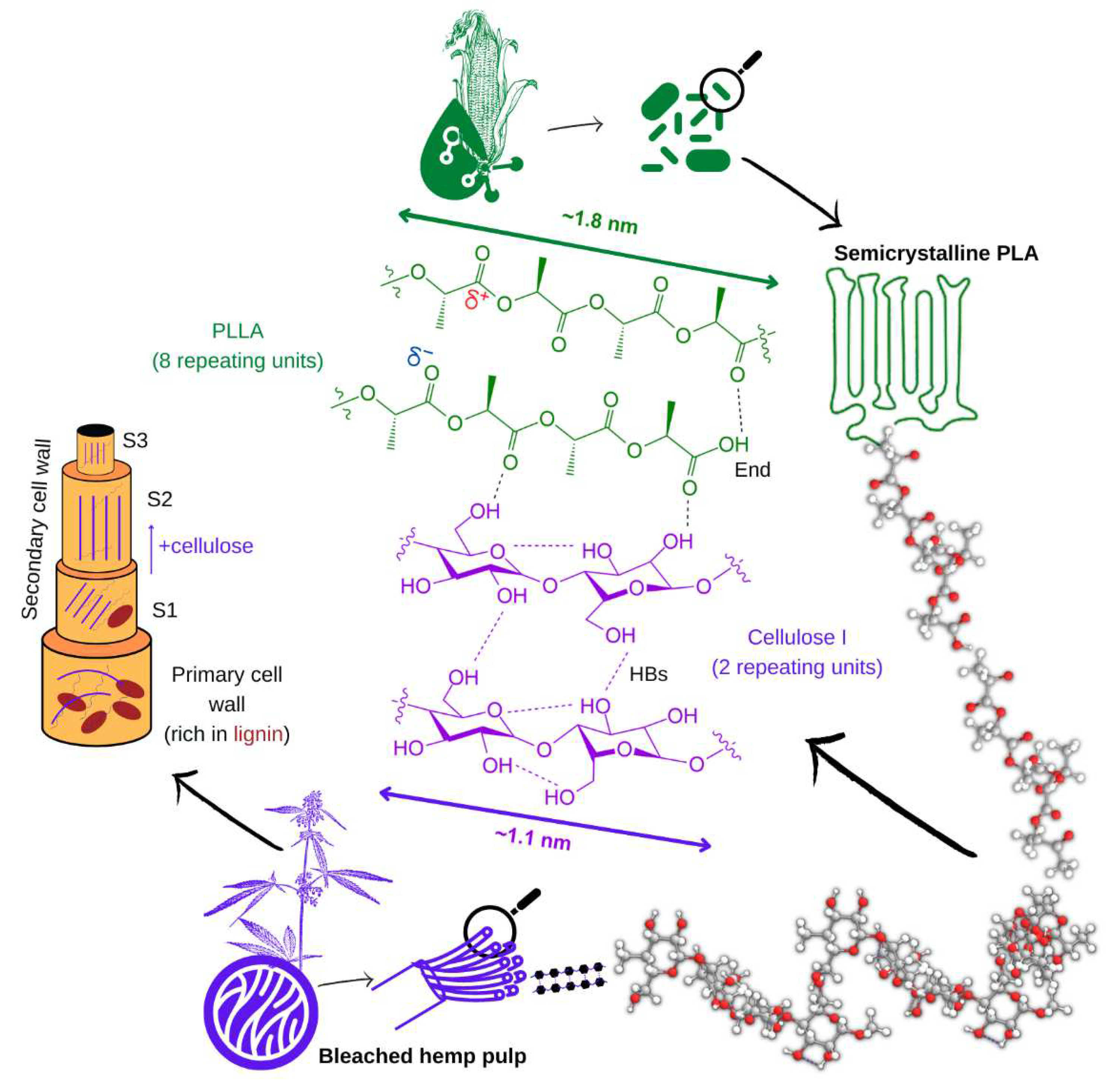 Polymers 15 00146 g007 Polymers 15 00146 g007