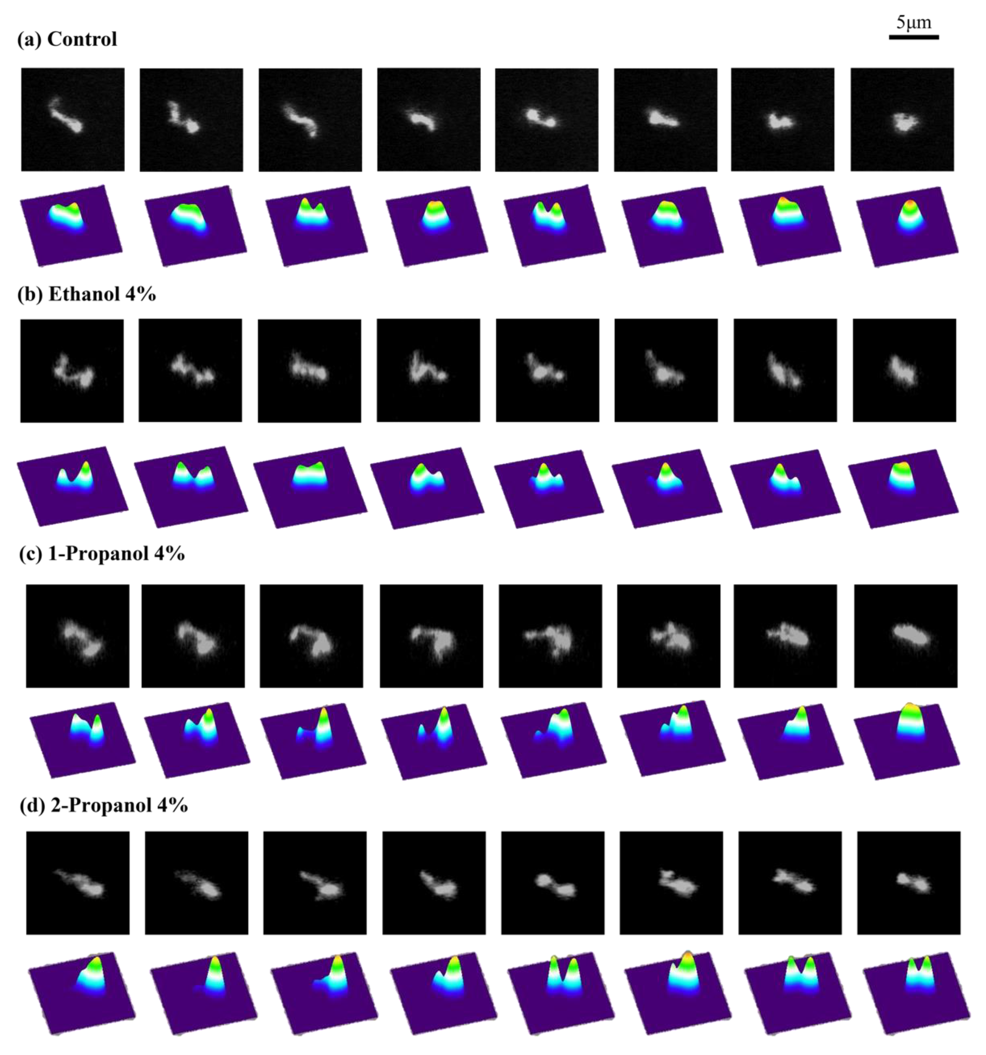 Polymers 15 00149 g002 Polymers 15 00149 g002