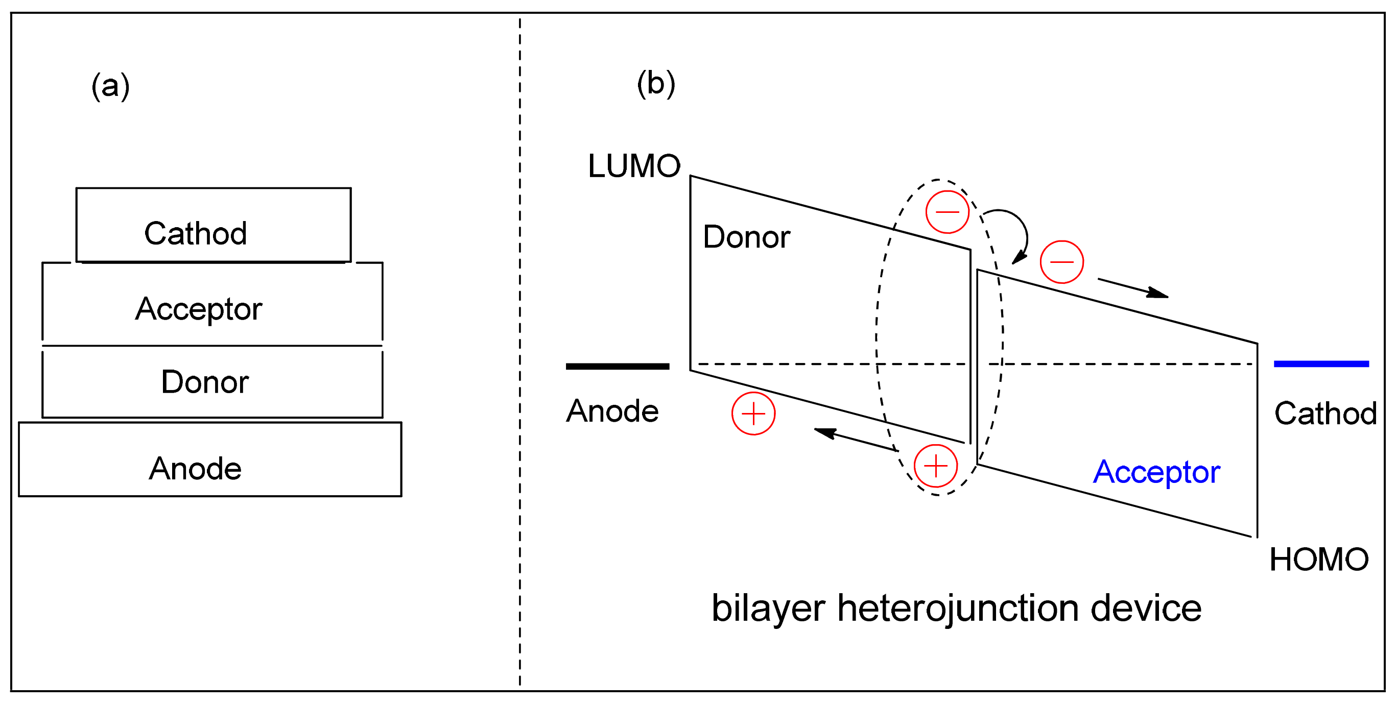 Polymers 15 00164 g008