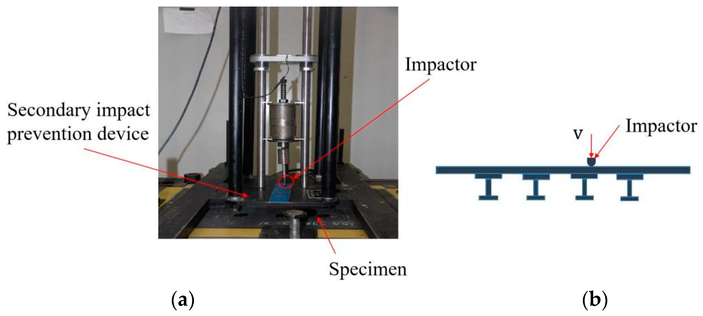 Polymers 15 00165 g002