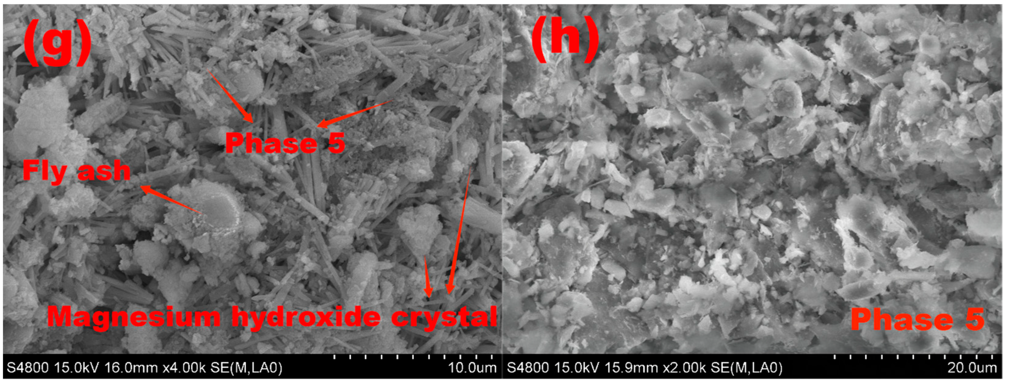 Polymers 15 00172 g015b
