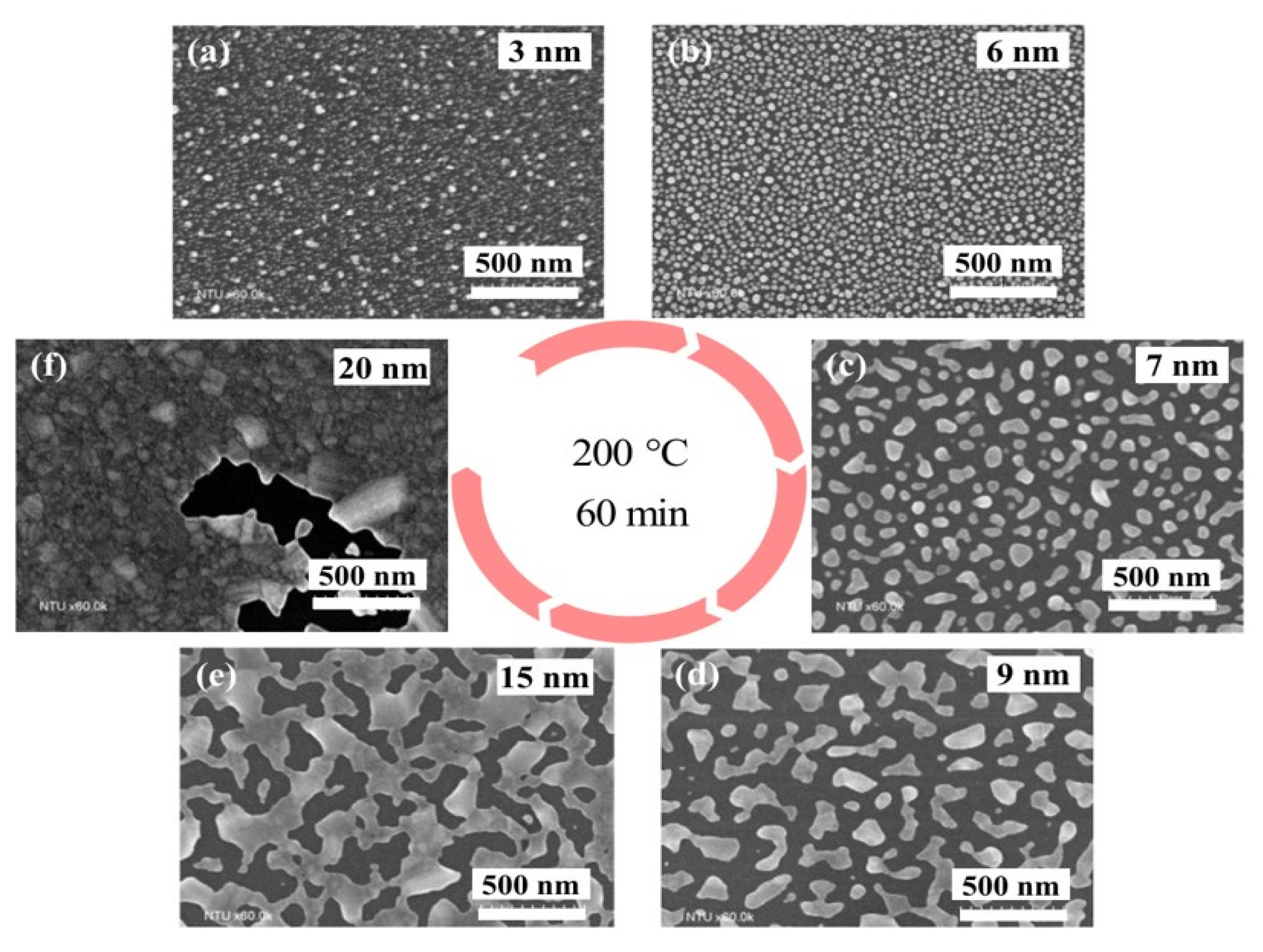 Polymers 15 00180 g004 Polymers 15 00180 g004