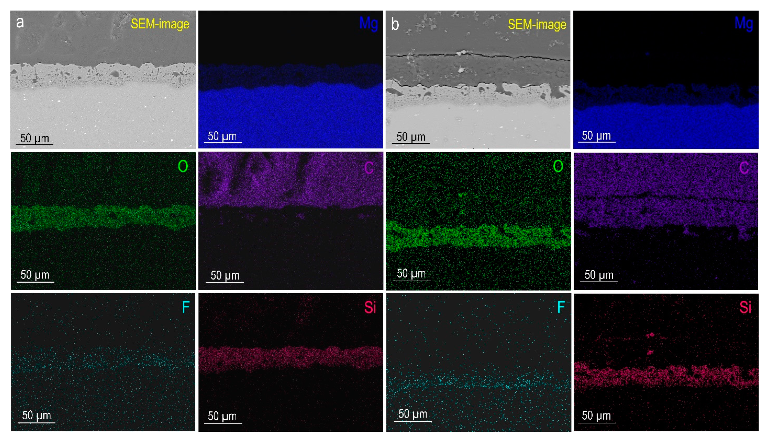 Polymers 15 00202 g002 Polymers 15 00202 g002