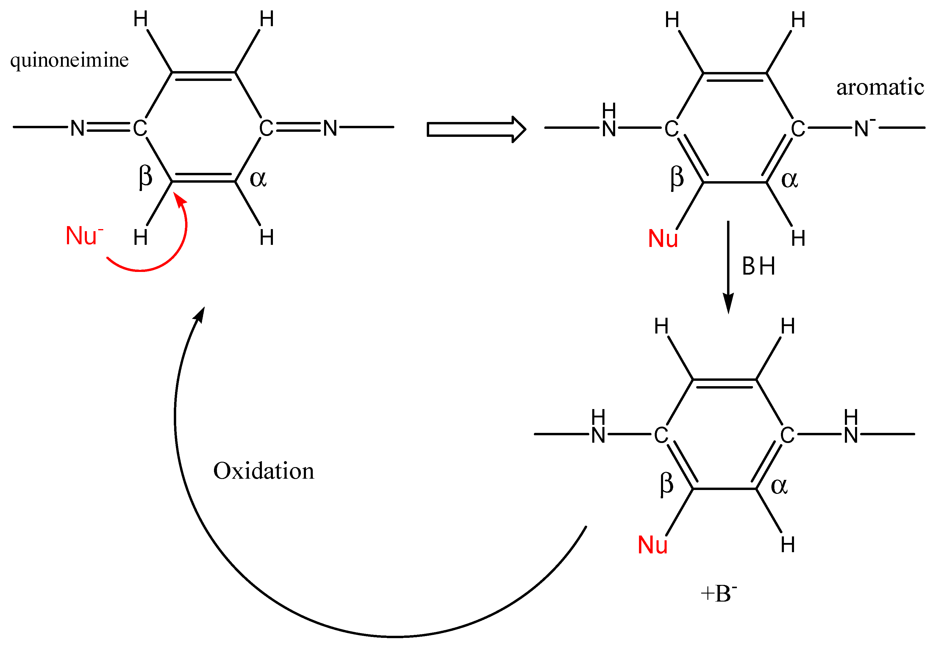Polymers 15 00205 sch008 Polymers 15 00205 sch008