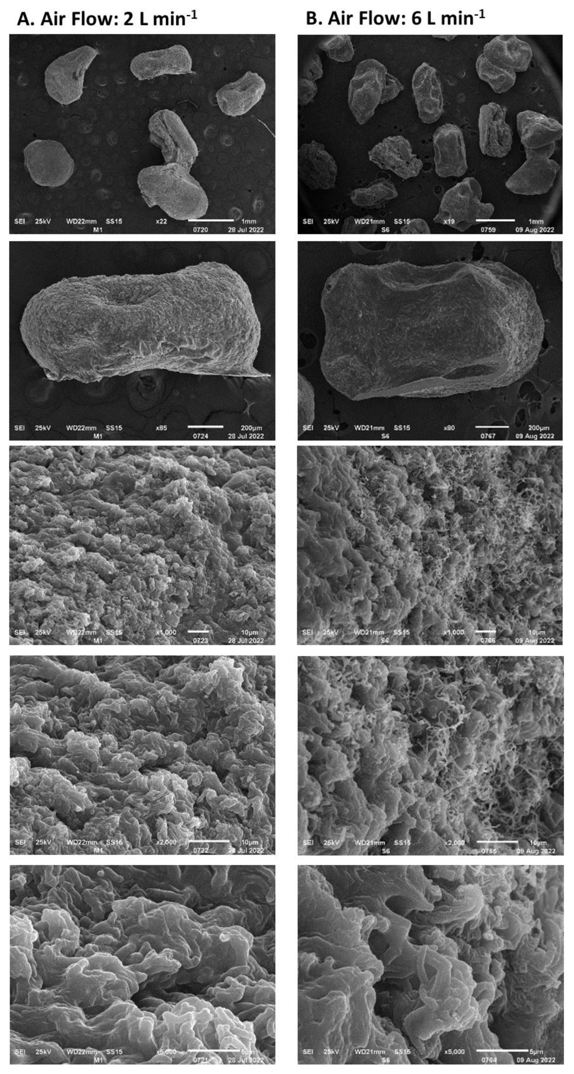 Polymers 15 00207 g008