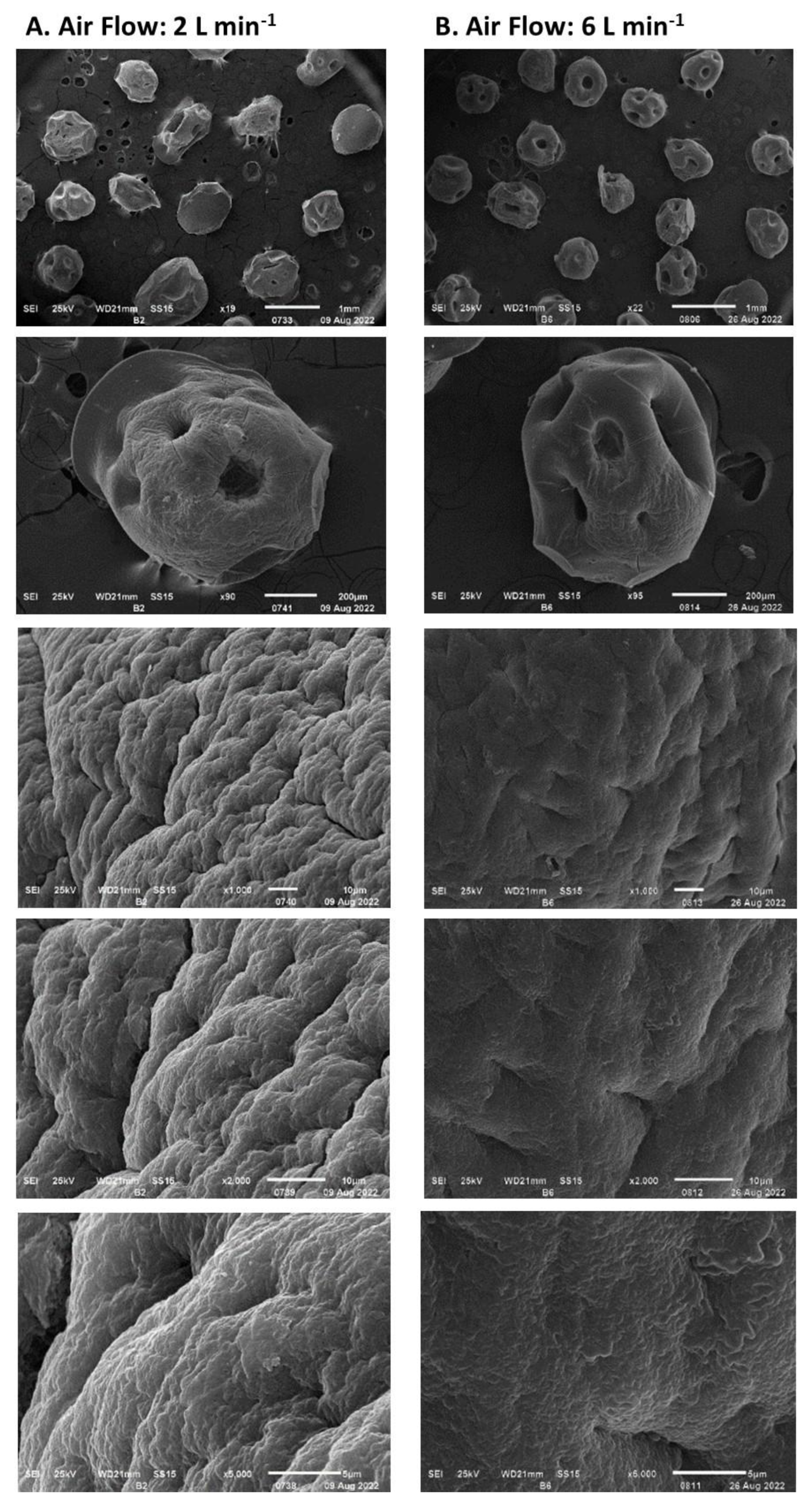Polymers 15 00207 g009