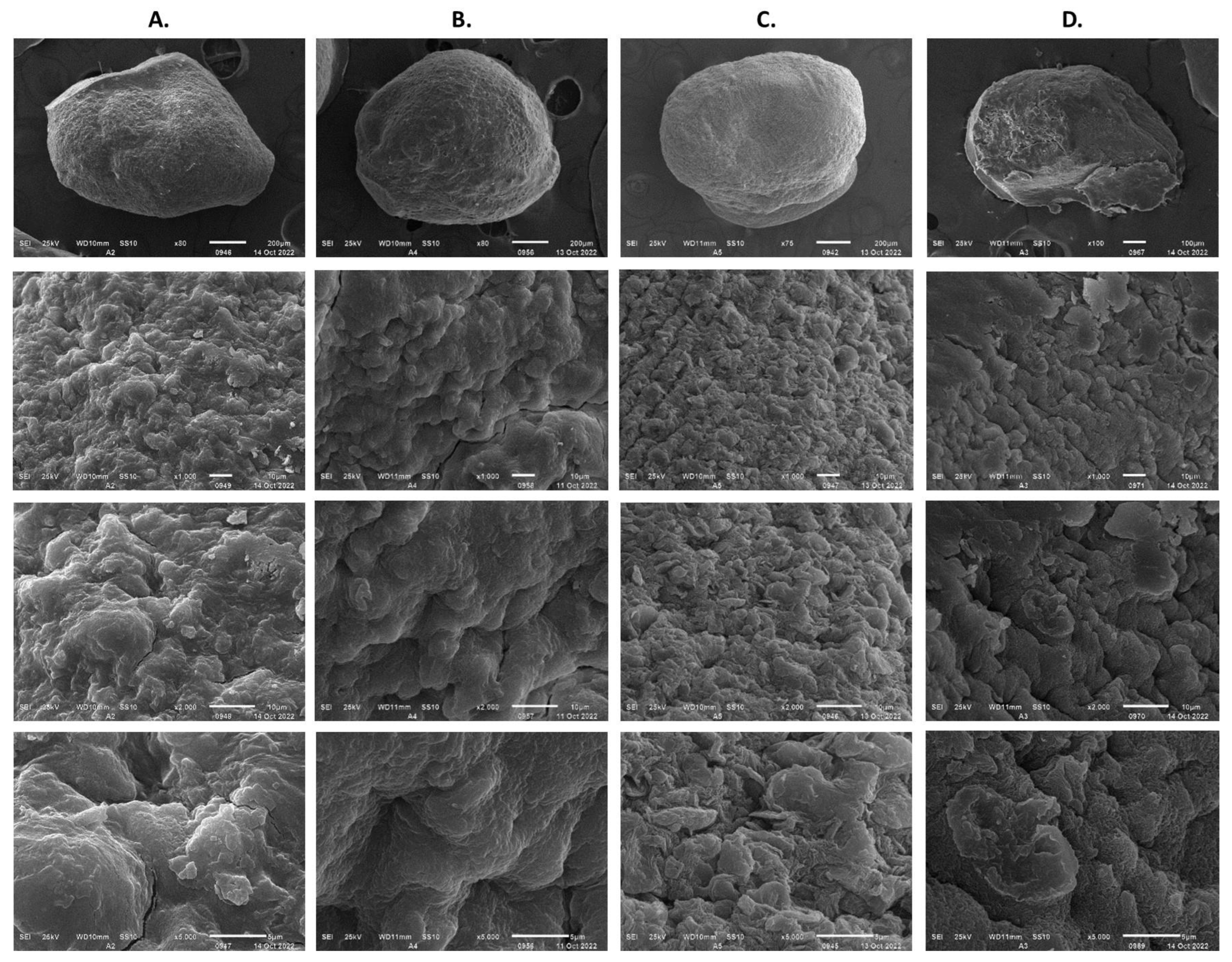 Polymers 15 00207 g014