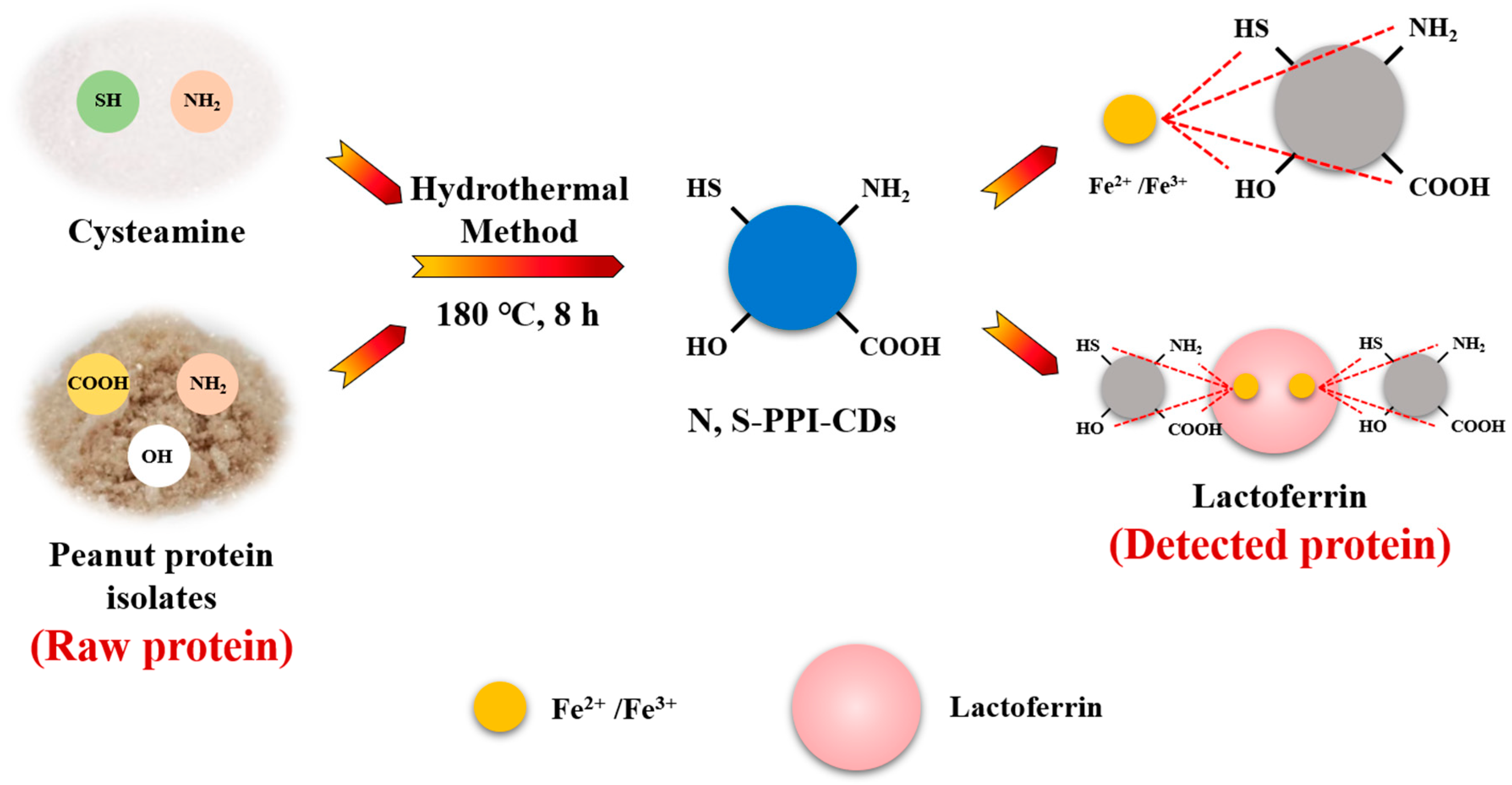 Polymers 15 00216 sch001 Polymers 15 00216 sch001