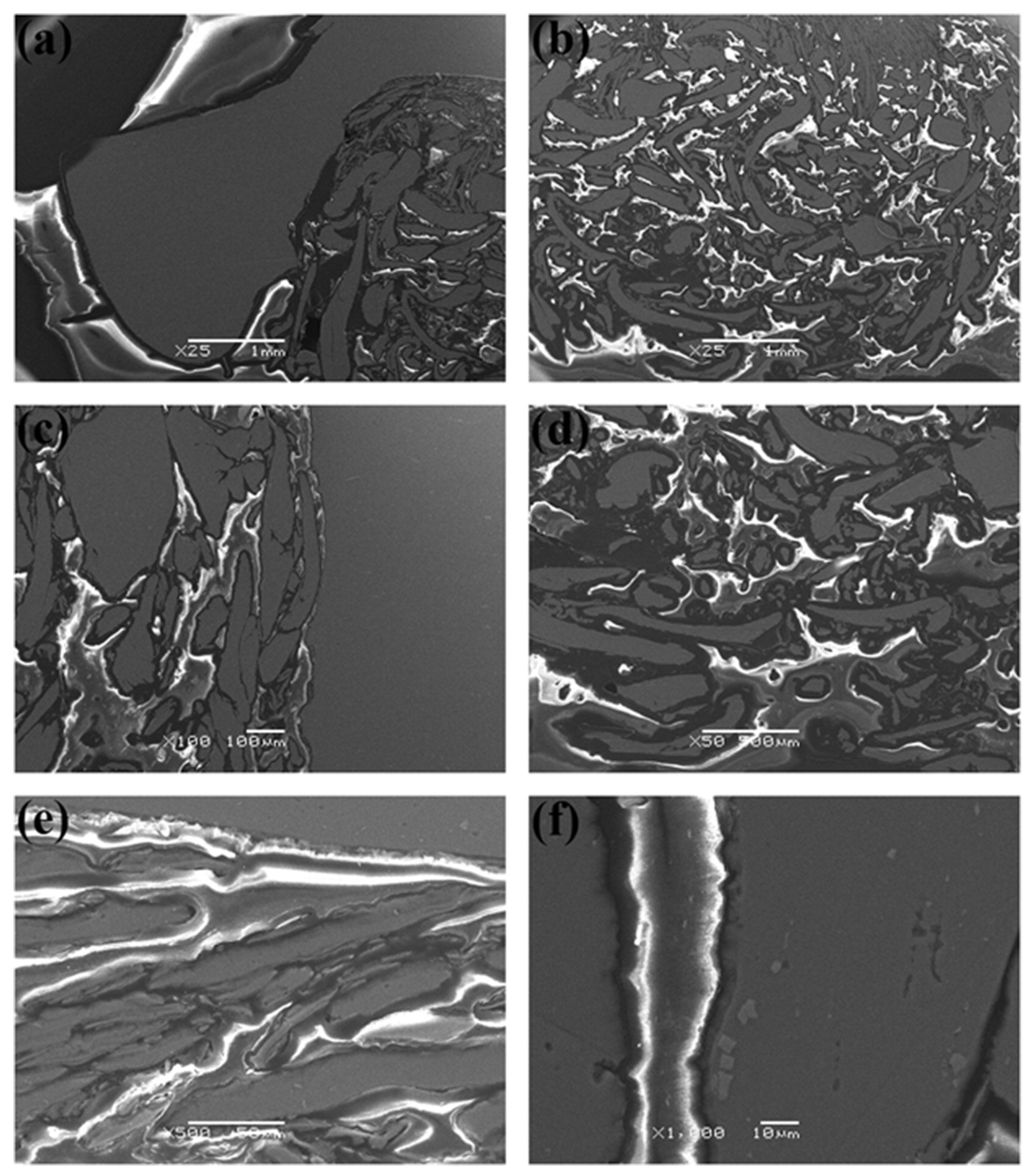 Polymers 15 00220 g003 Polymers 15 00220 g003