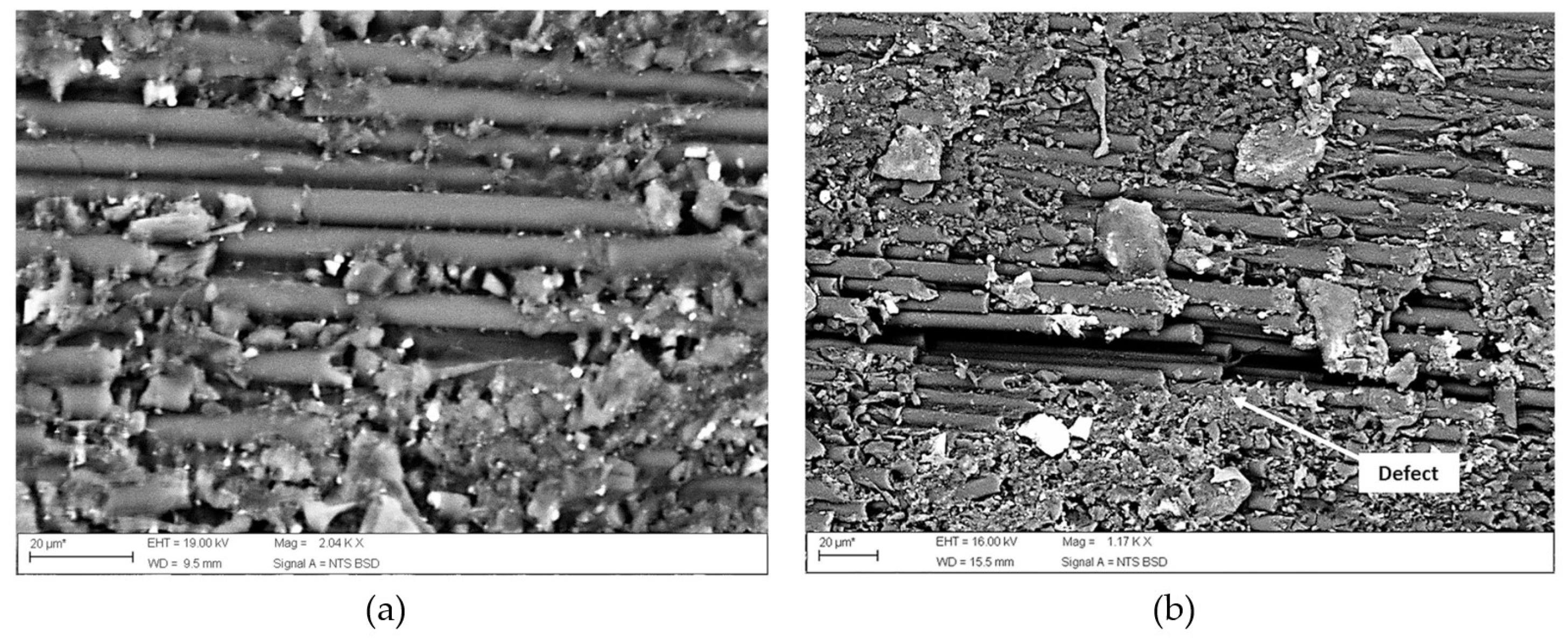 Polymers 15 00242 g011