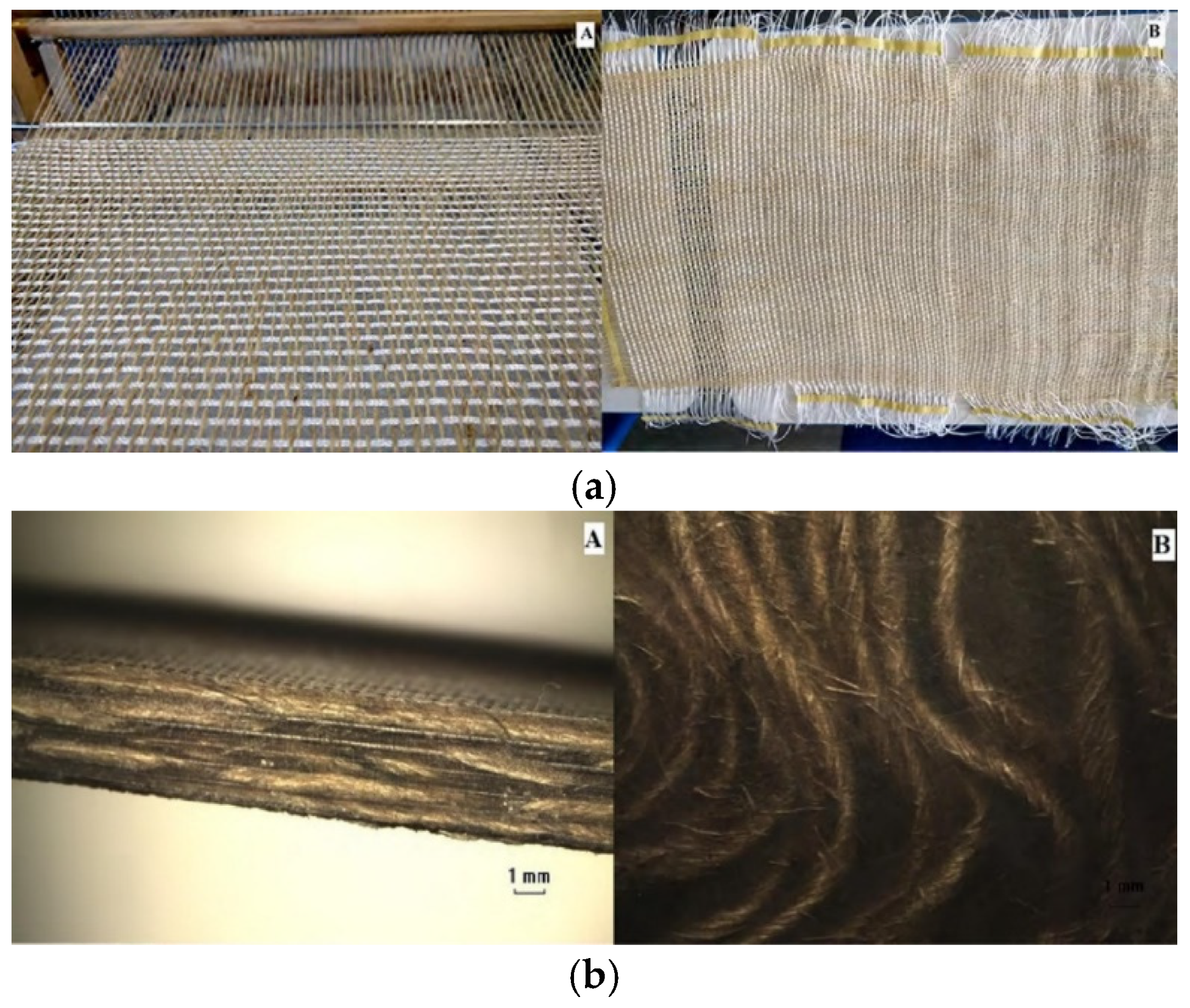 Polymers 15 00242 g012