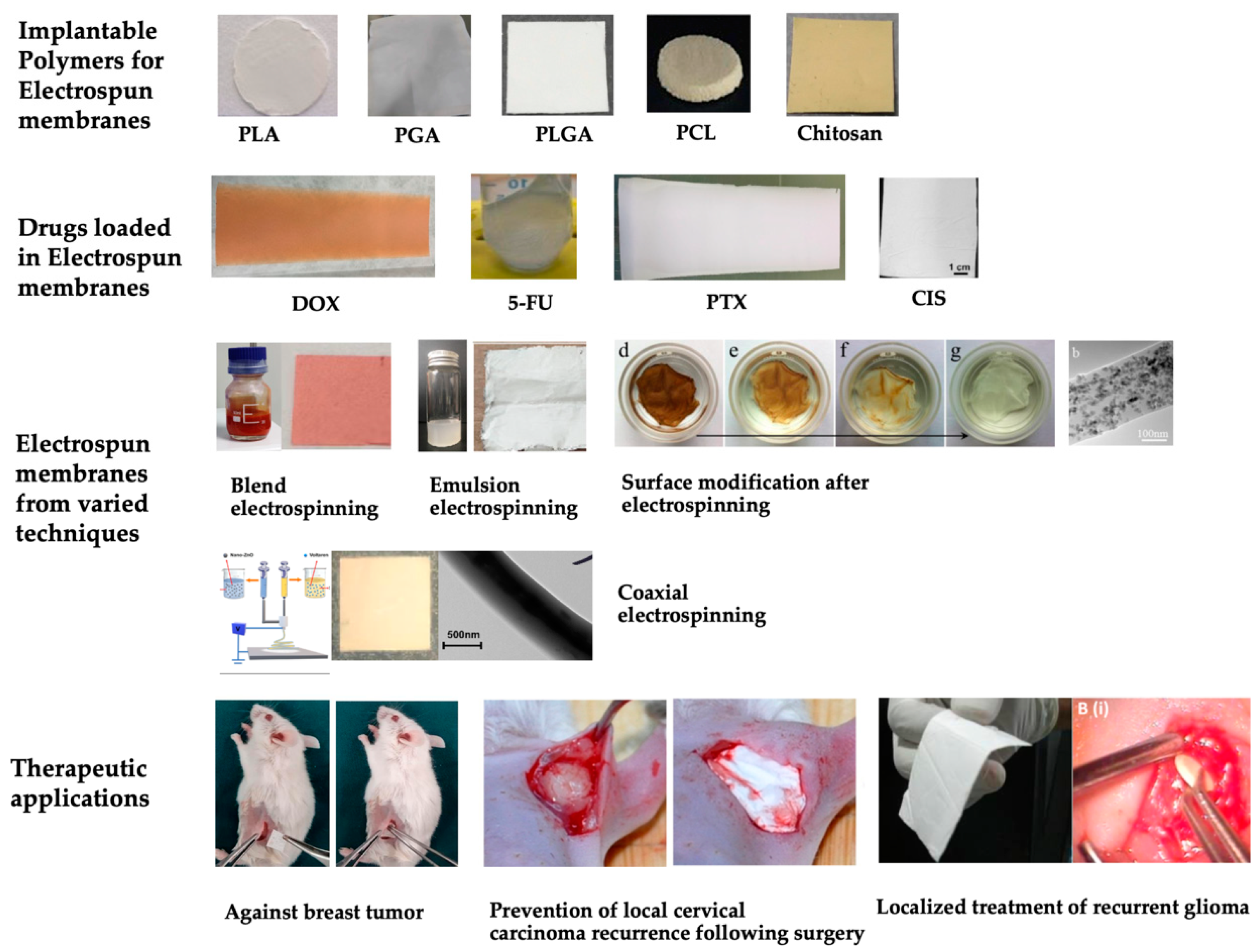 Polymers 15 00251 g003