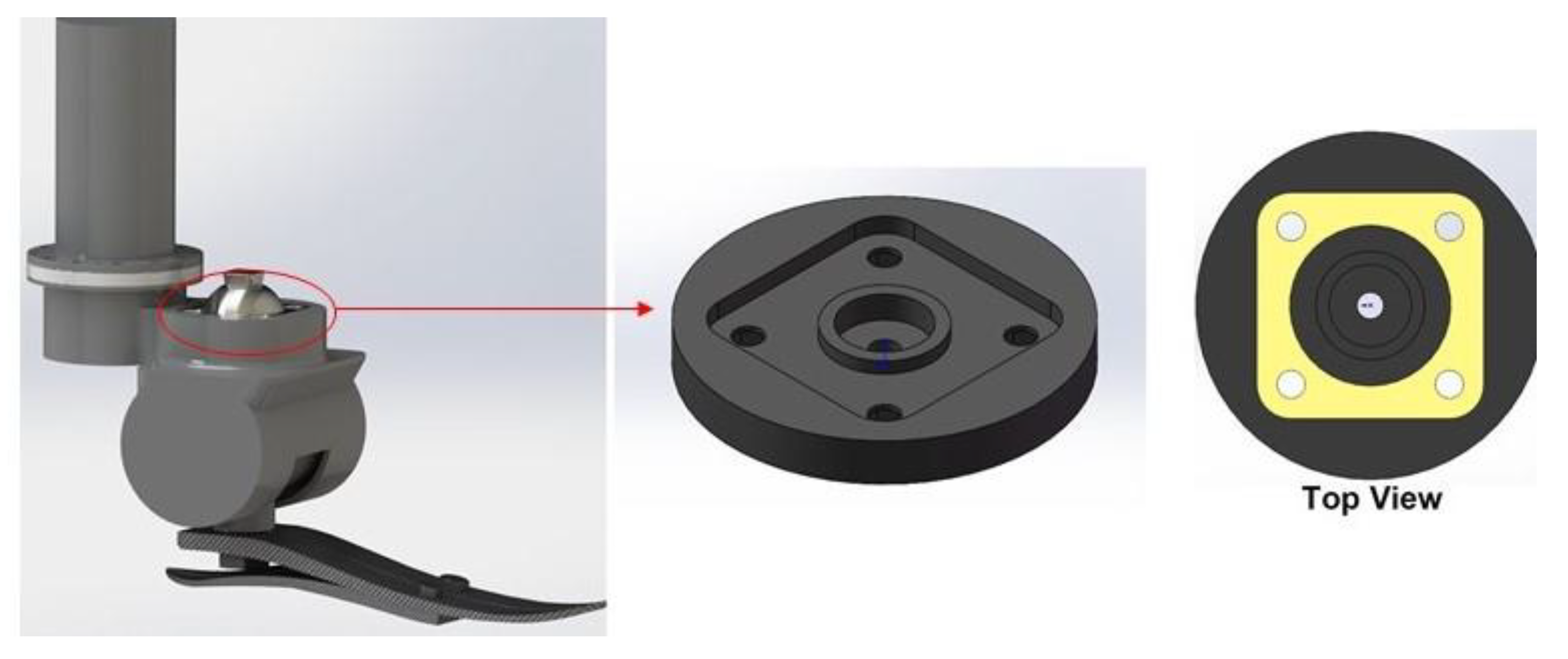 Polymers 15 00255 g006