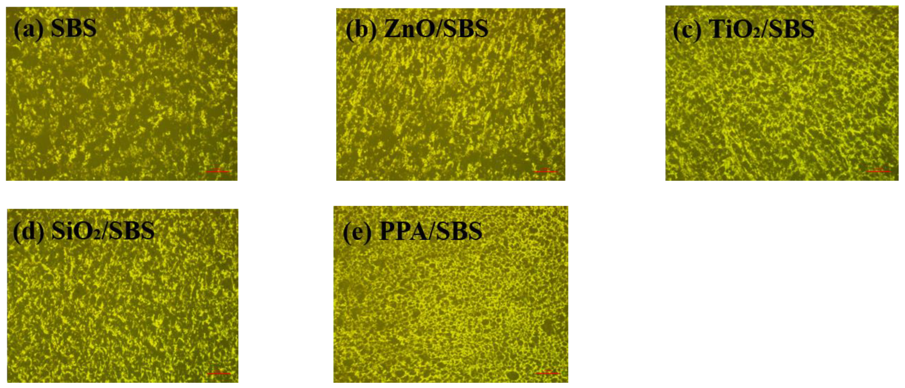 Polymers 15 00256 g005