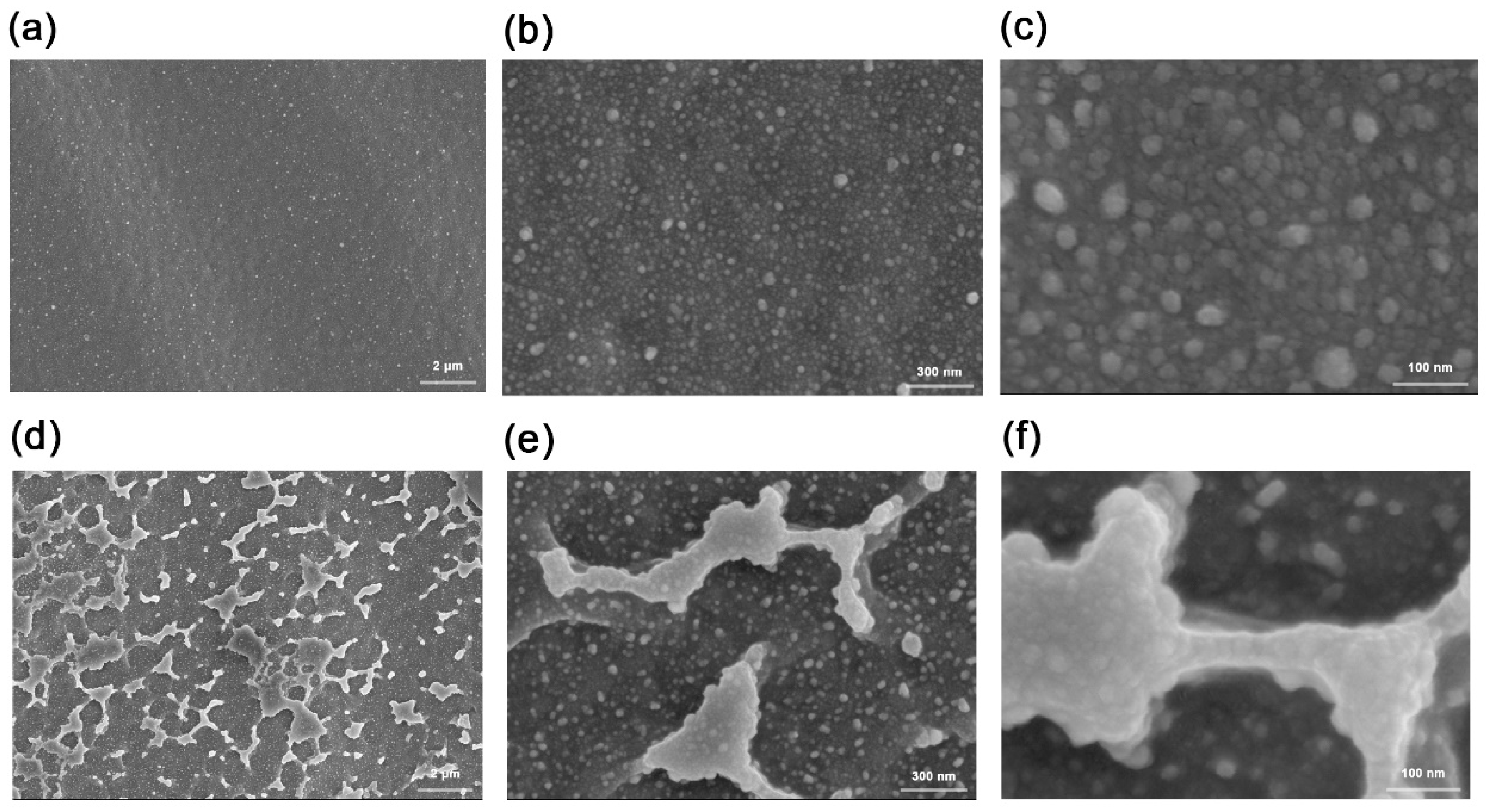 Polymers 15 00270 g008