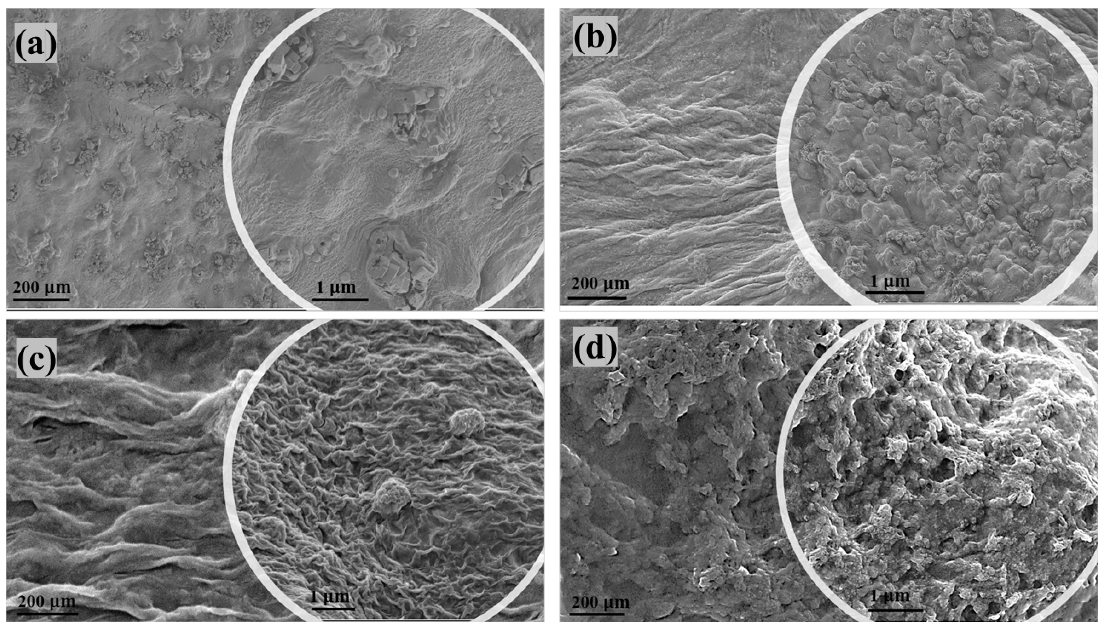 Polymers 15 00272 g002