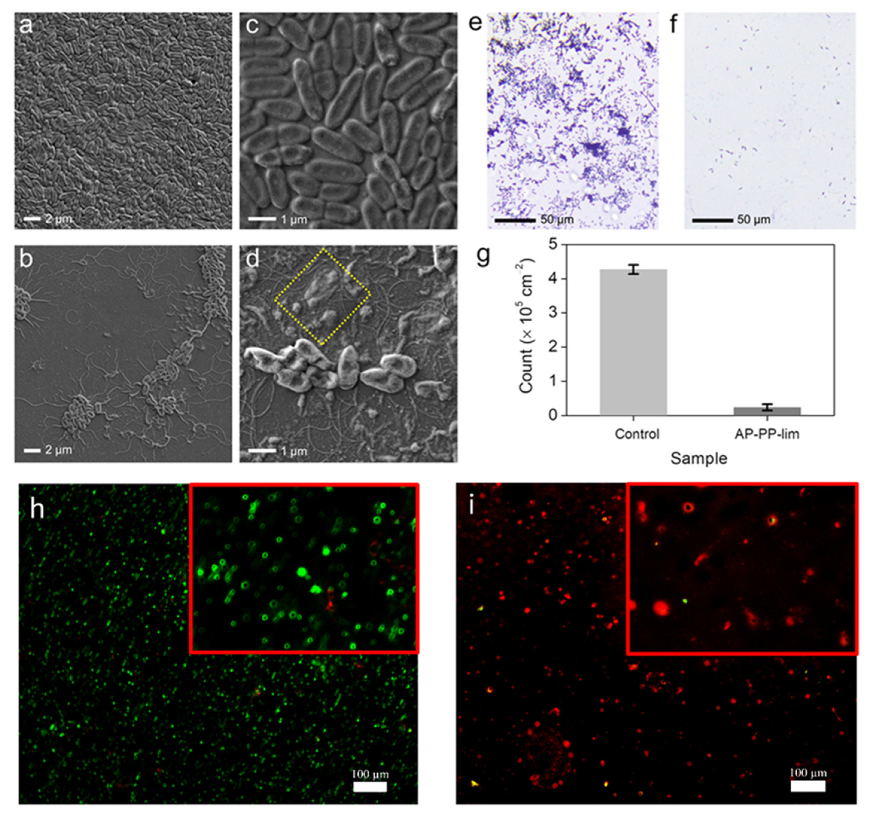 Polymers 15 00307 g006 Polymers 15 00307 g006
