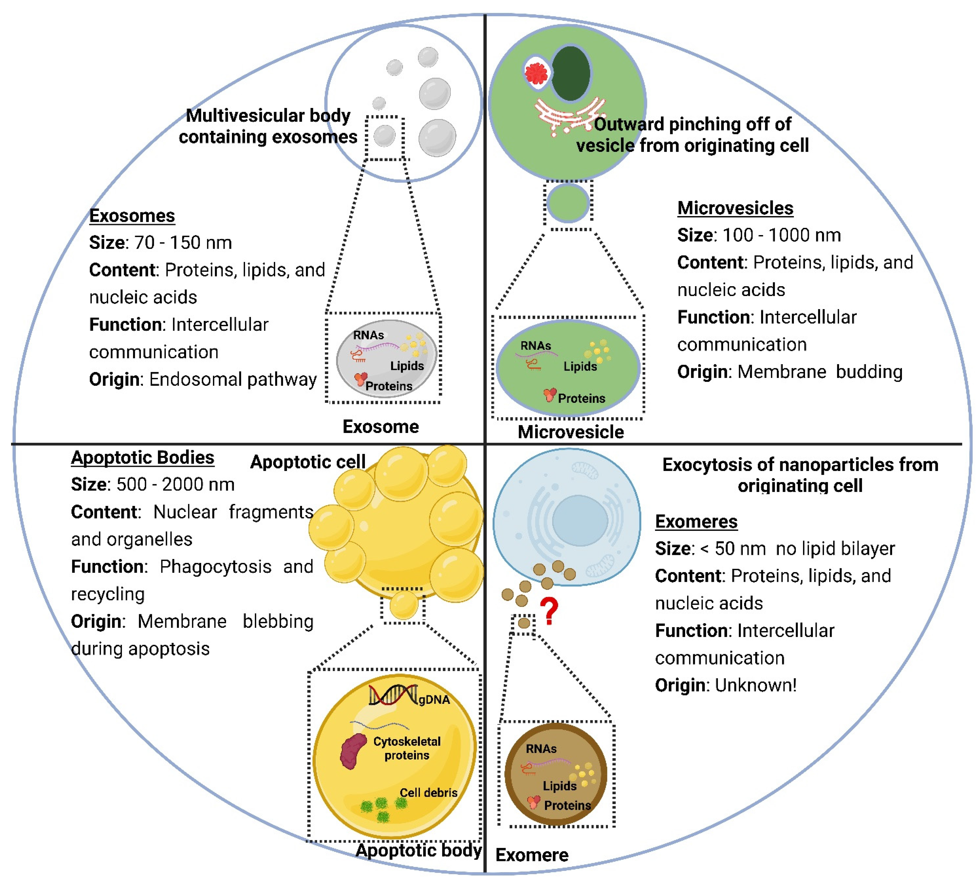Polymers 15 00318 g003