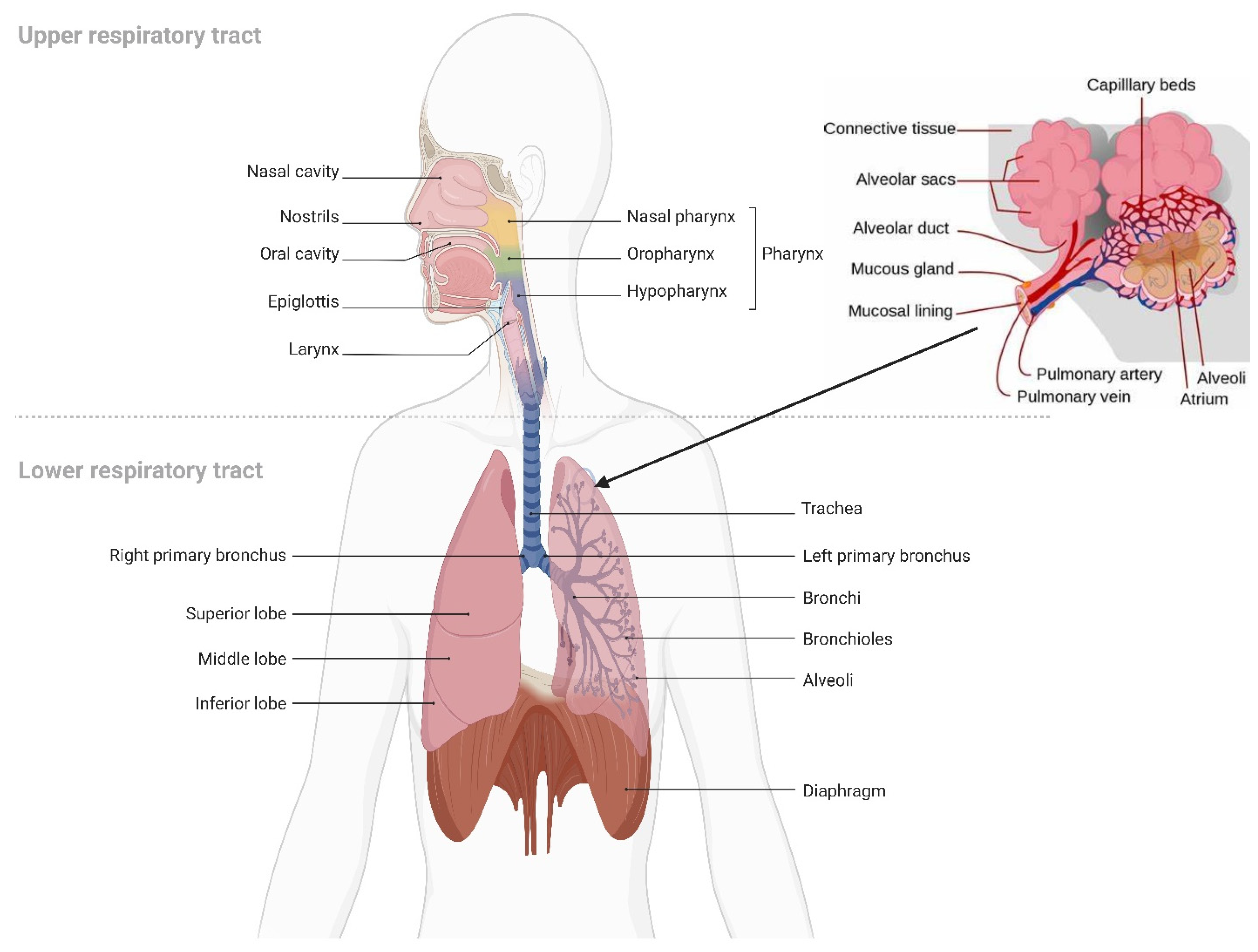 Polymers 15 00318 g007