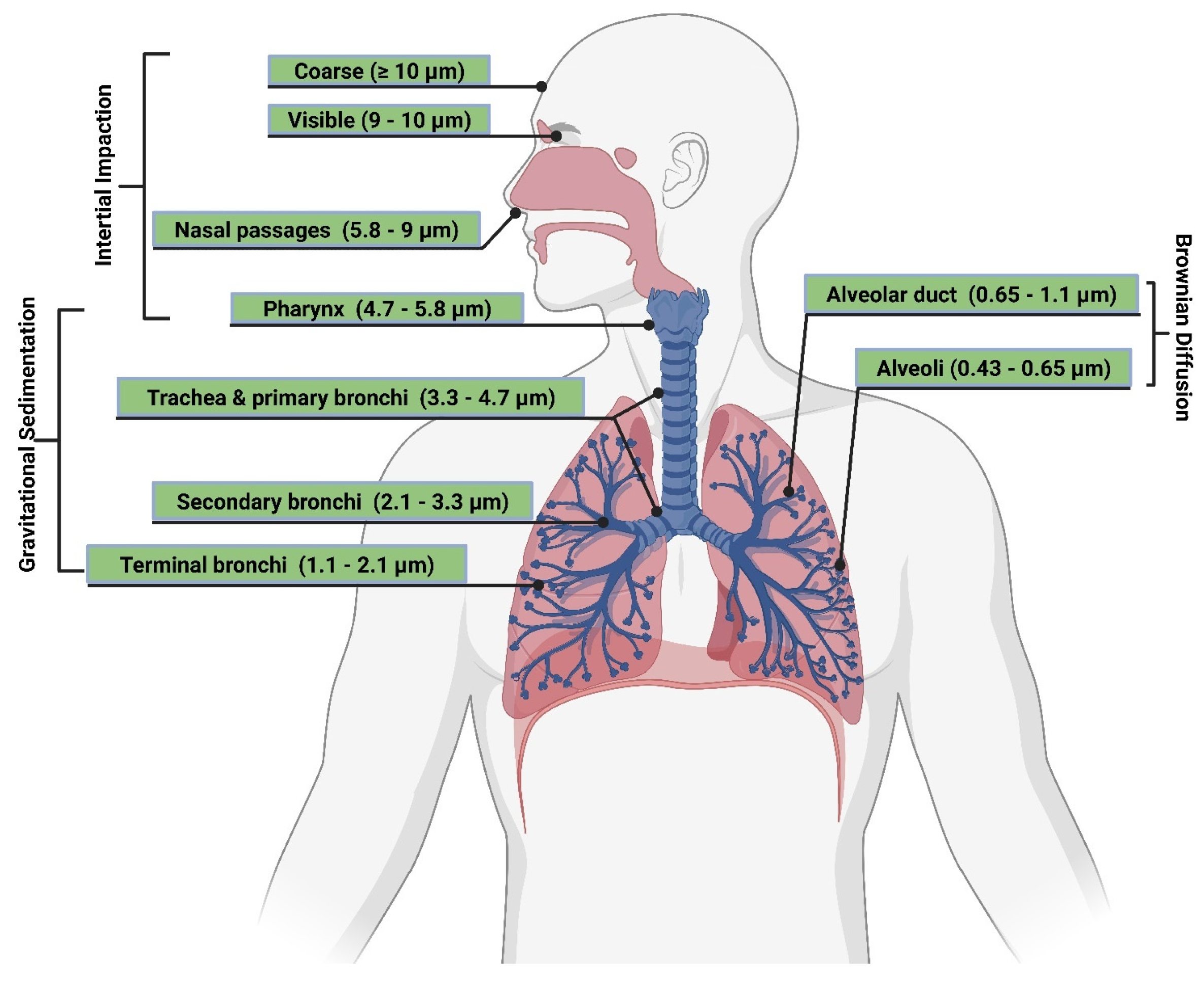 Polymers 15 00318 g008