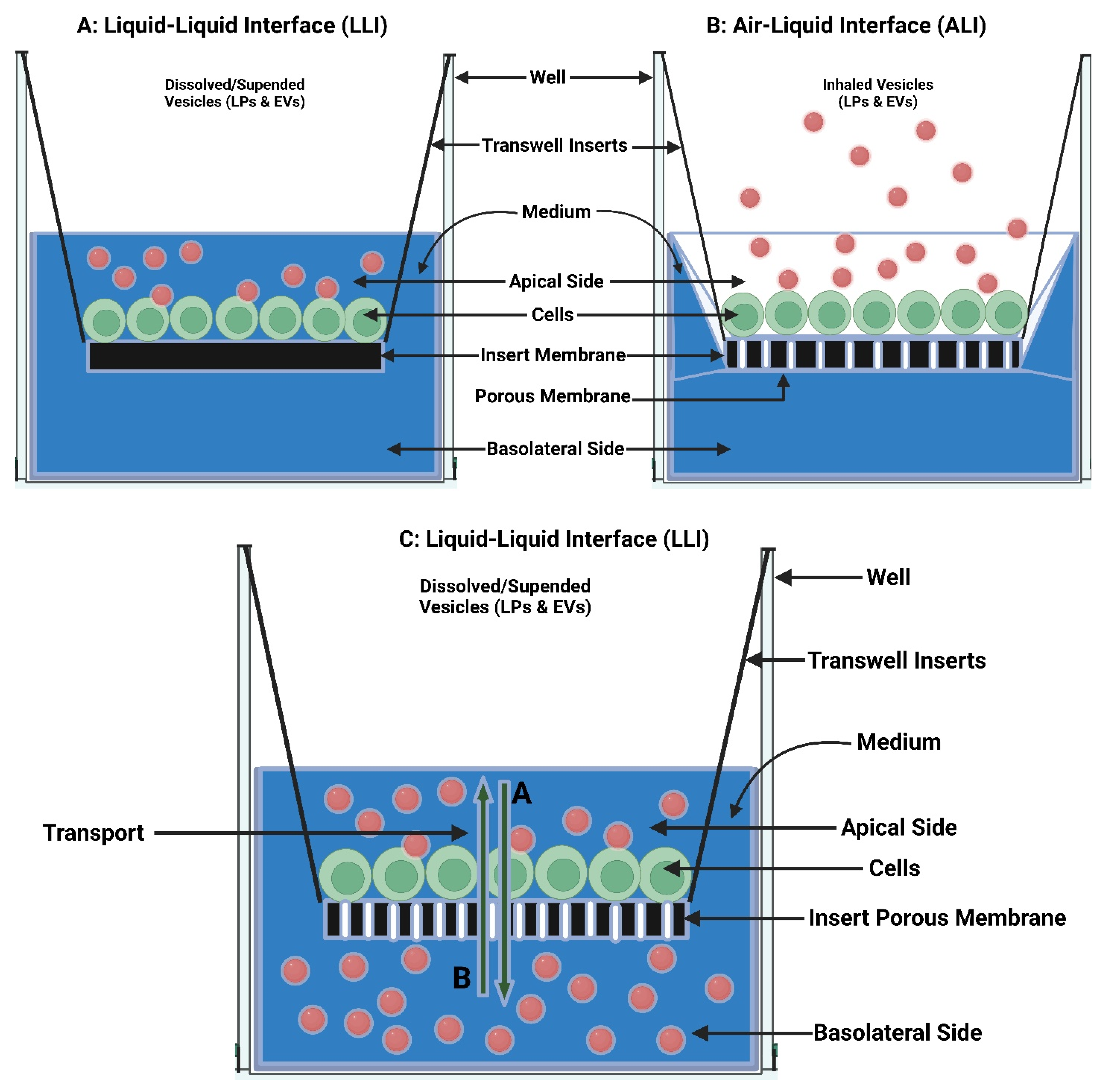Polymers 15 00318 g013