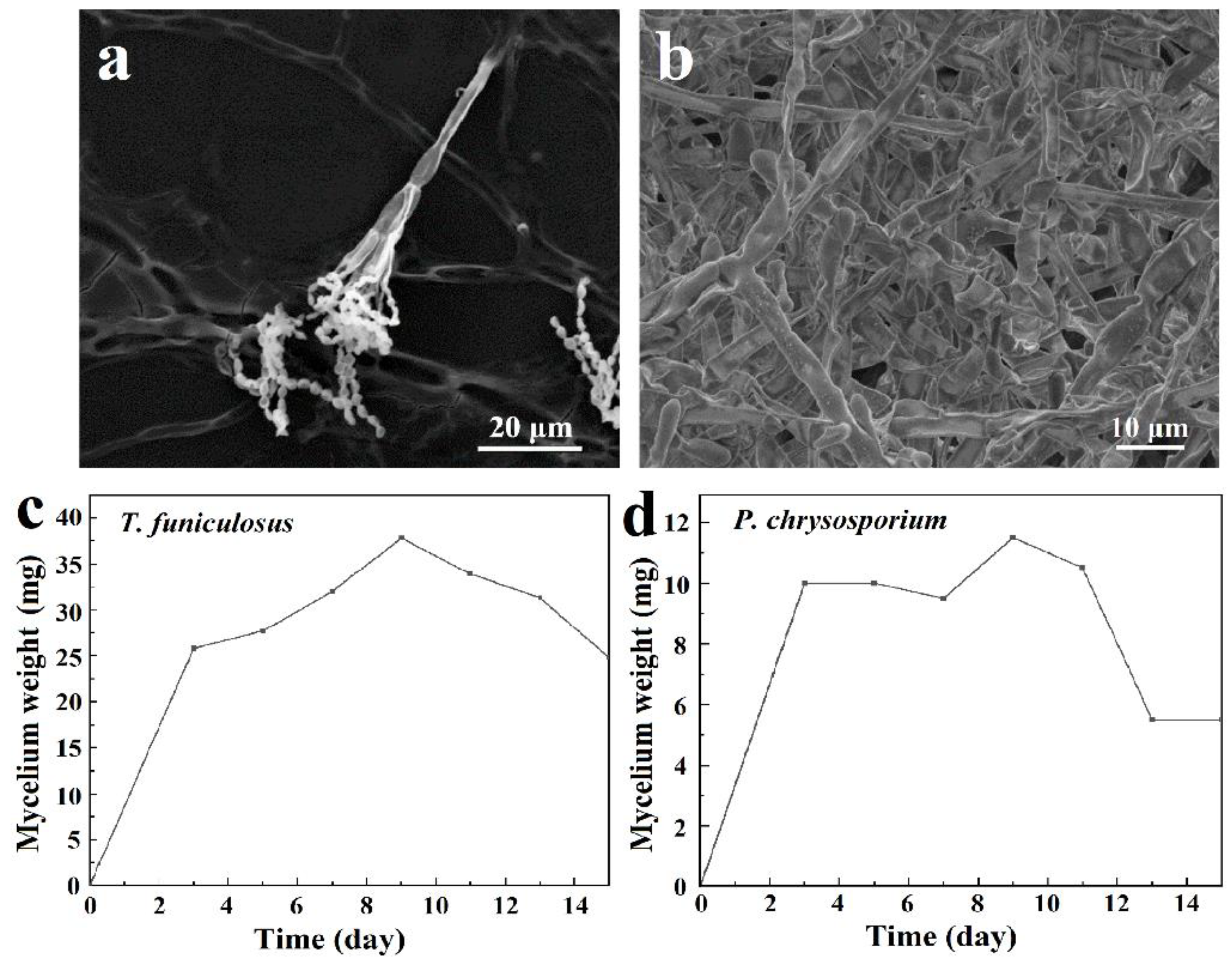Polymers 15 00328 g002 Polymers 15 00328 g002