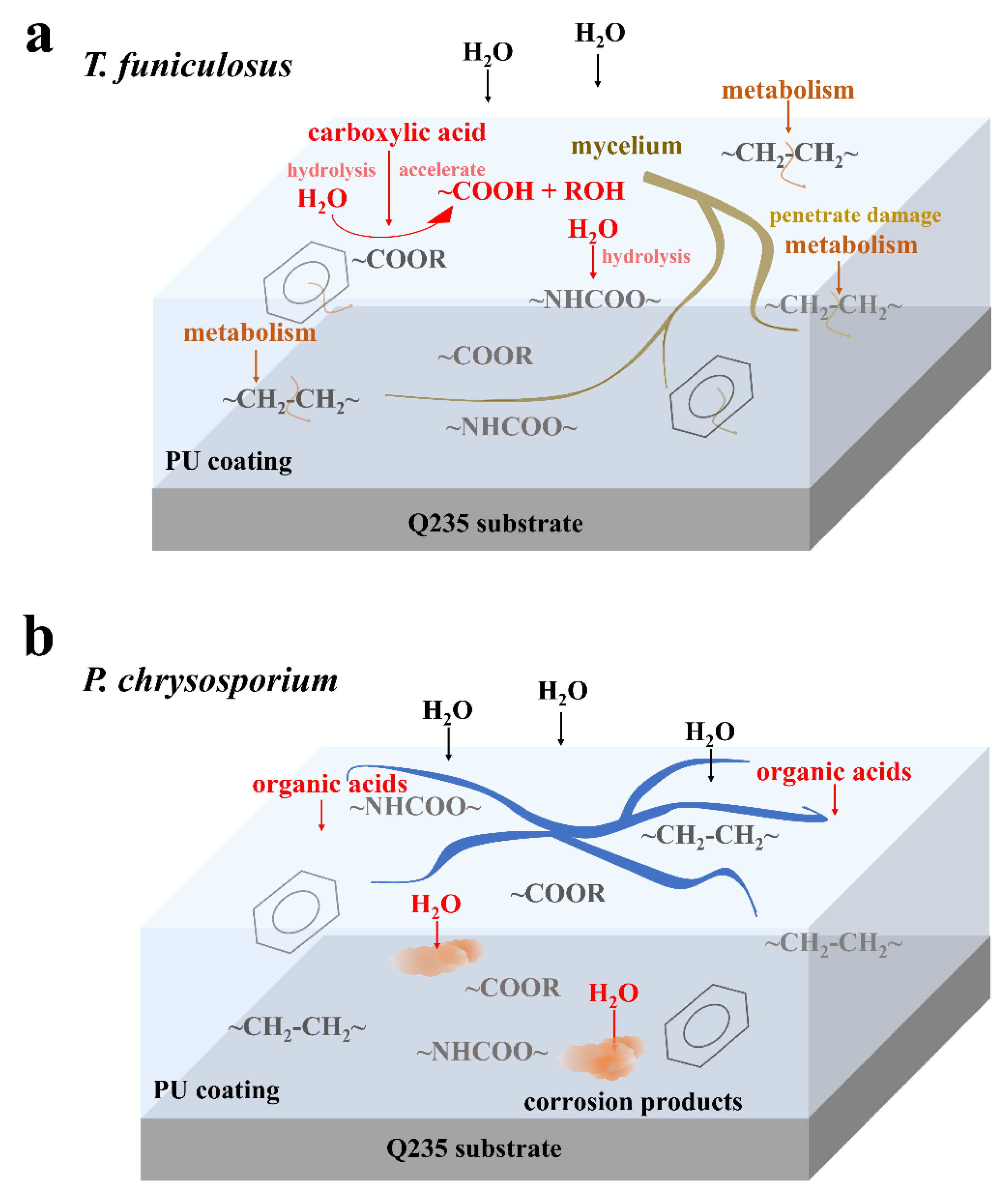 Polymers 15 00328 g007 Polymers 15 00328 g007