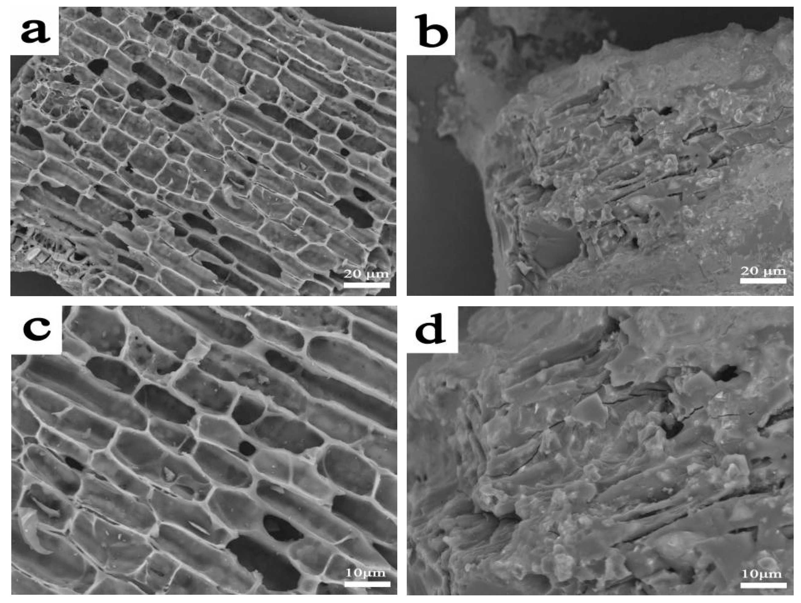 Polymers 15 00360 g004