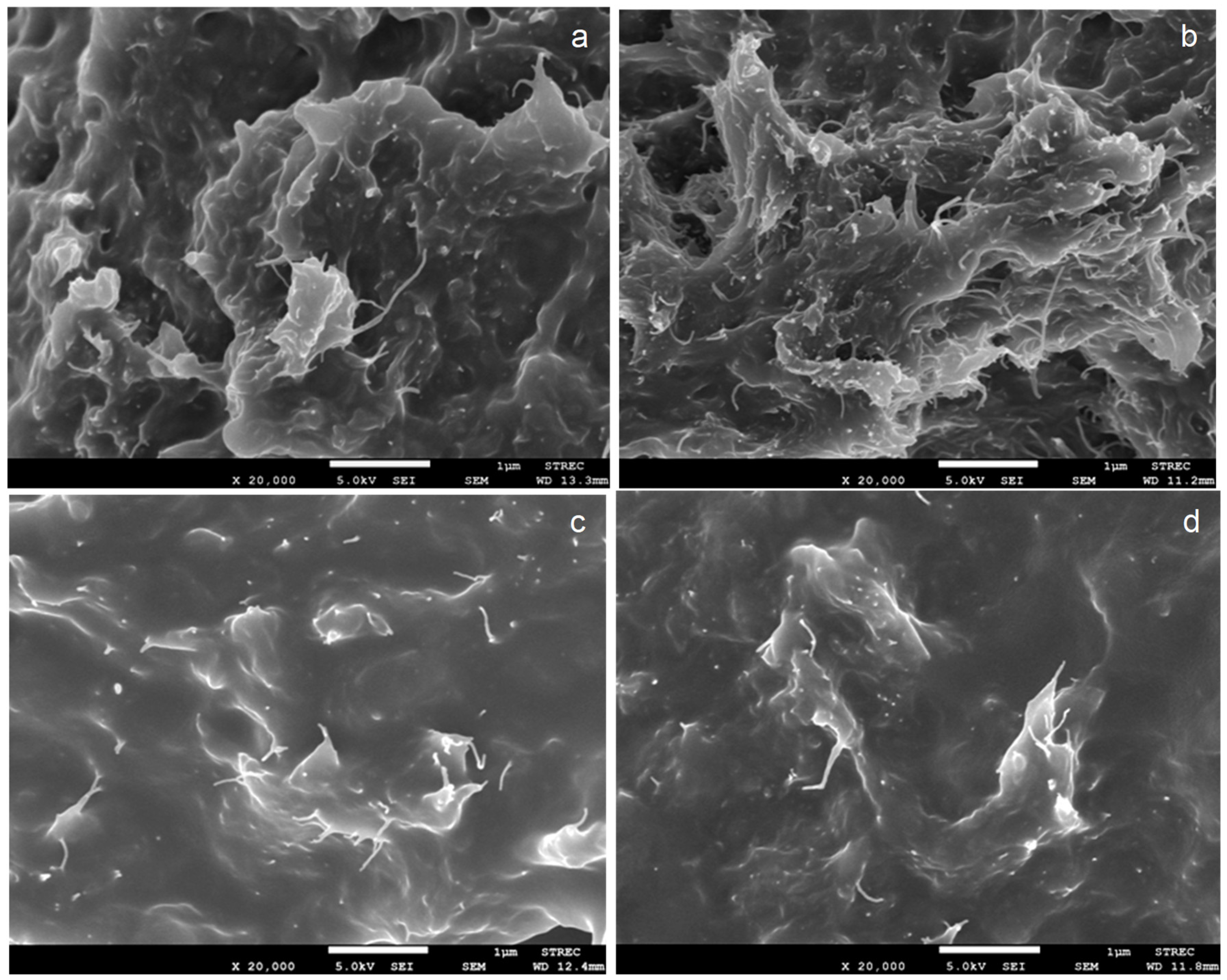 Polymers 15 00364 g006 Polymers 15 00364 g006