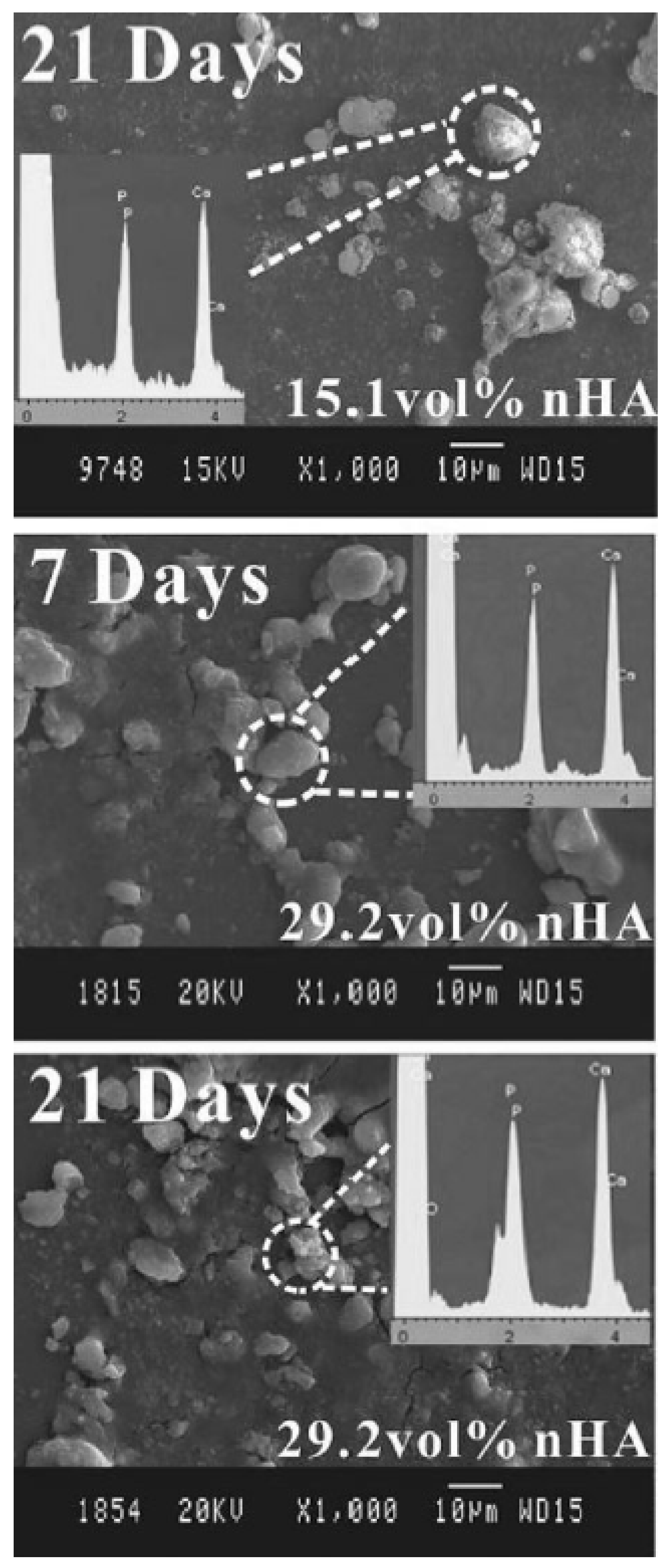 Polymers 15 00373 g012 Polymers 15 00373 g012