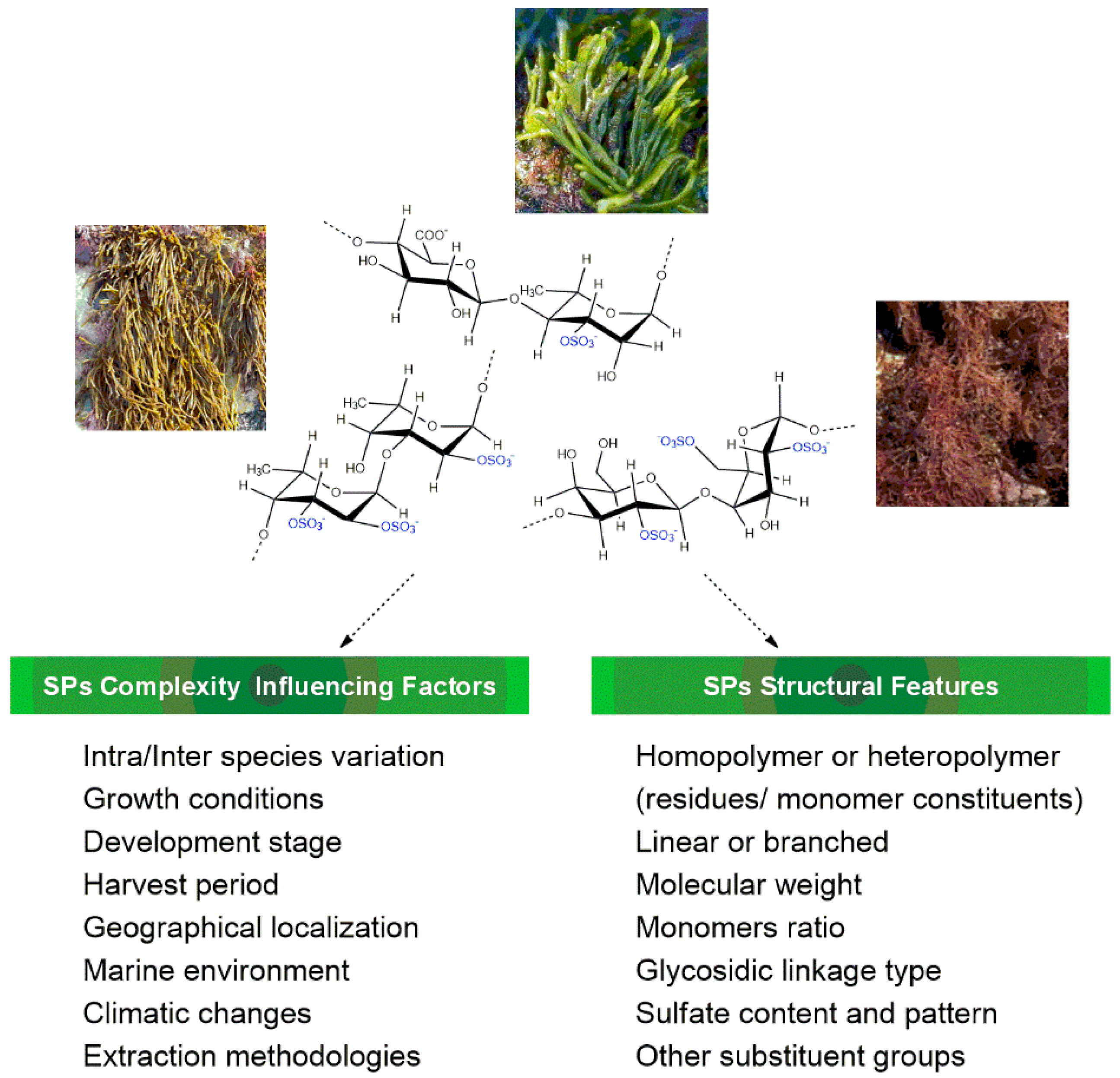 Polymers 15 00399 g001