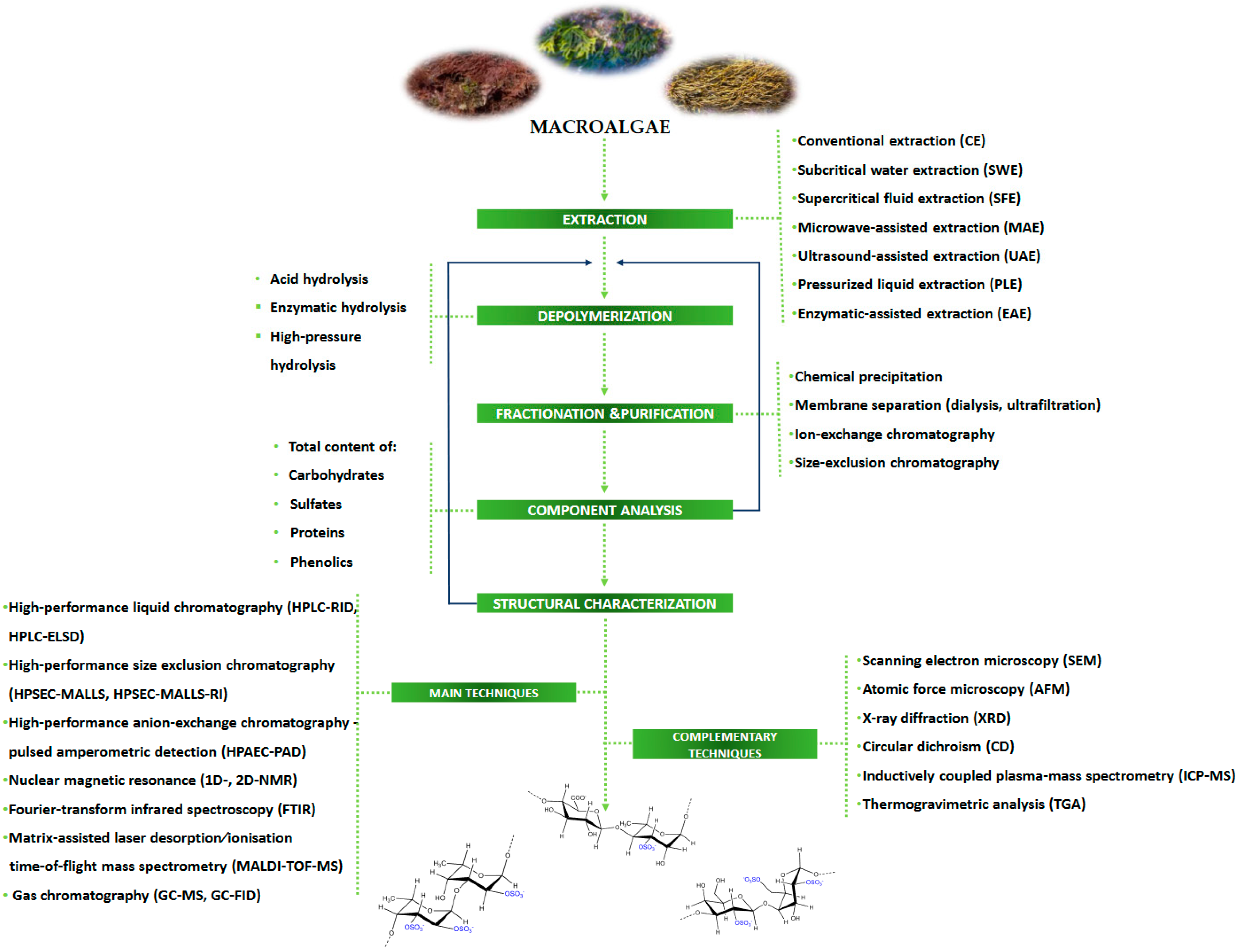 Polymers 15 00399 g004