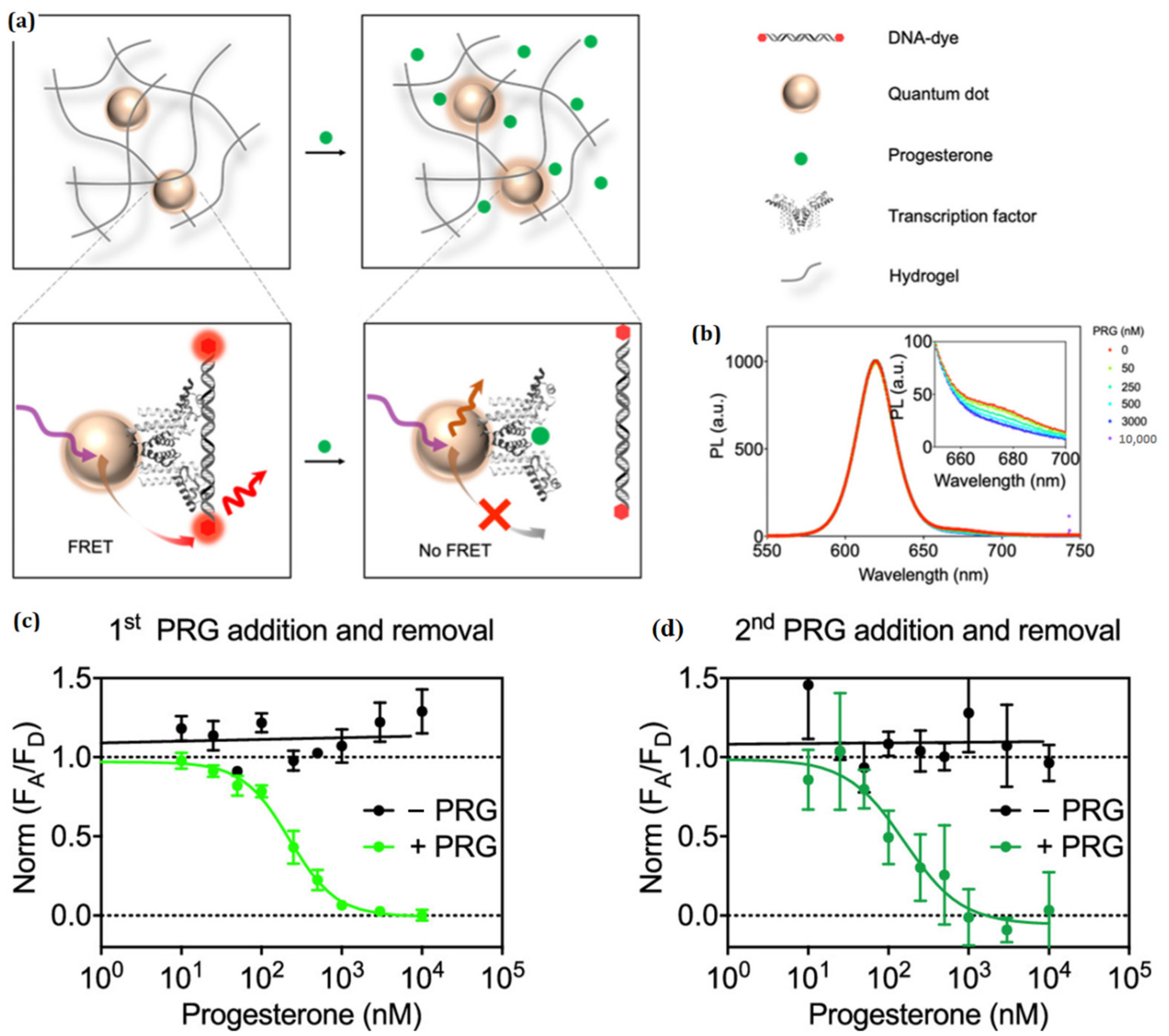 Polymers 15 00405 g009 Polymers 15 00405 g009