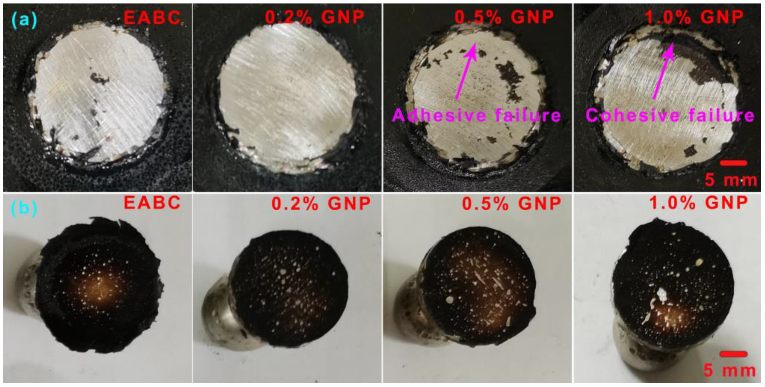 Polymers 15 00412 g018 Polymers 15 00412 g018