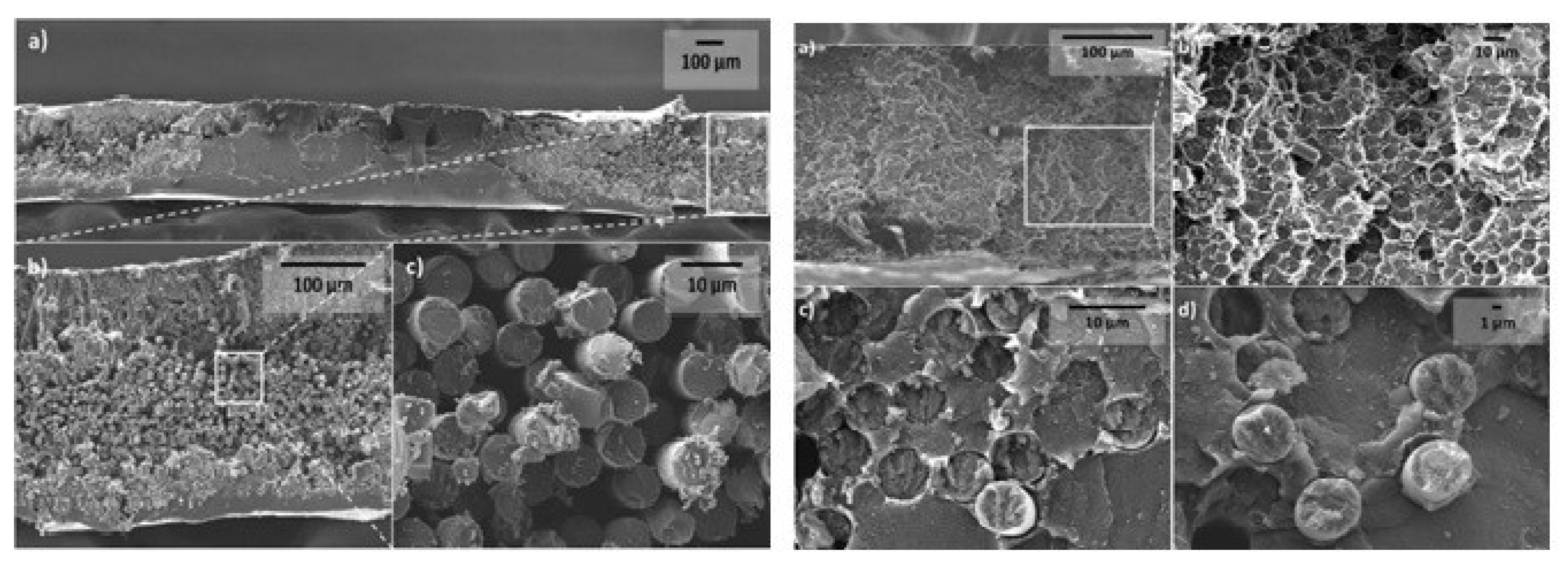 Polymers 15 00415 g008