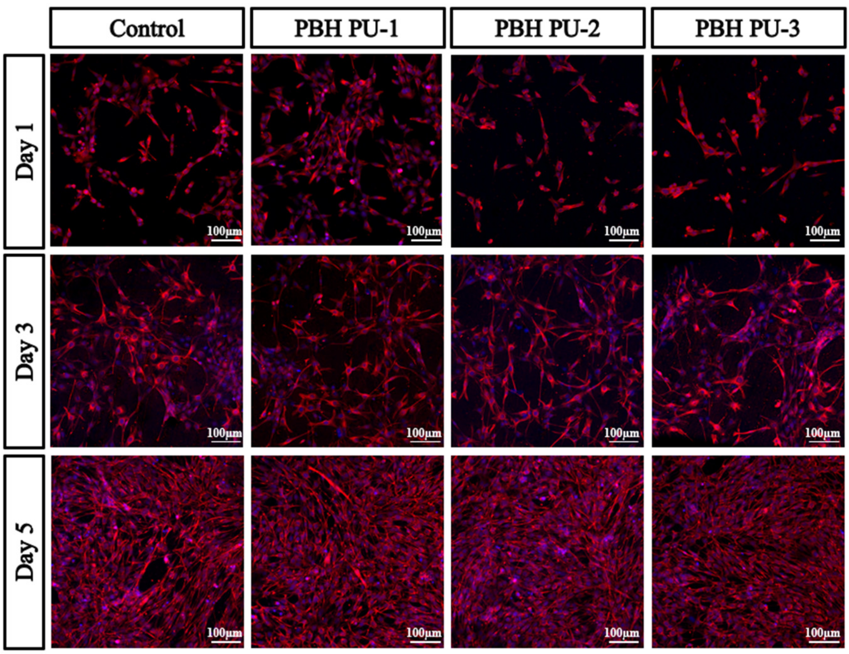 Polymers 15 00418 g011