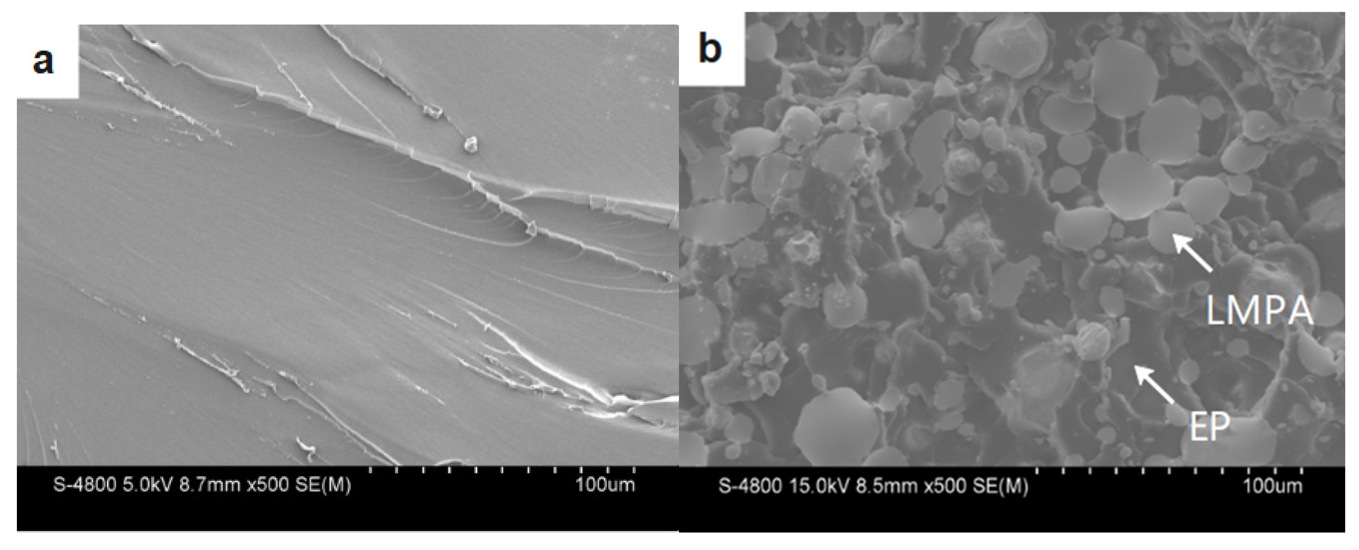 Polymers 15 00423 g019a Polymers 15 00423 g019a