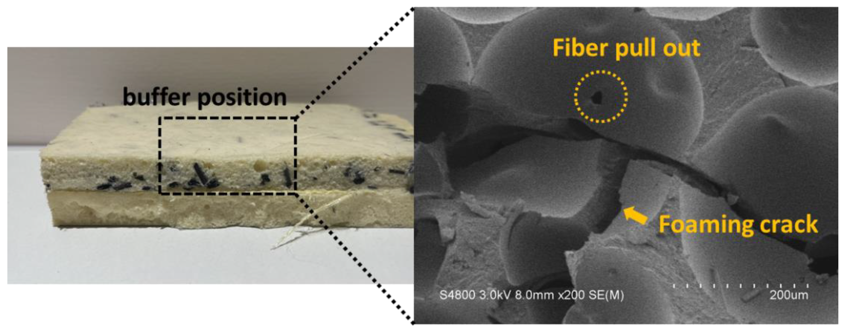 Polymers 15 00424 g004 Polymers 15 00424 g004
