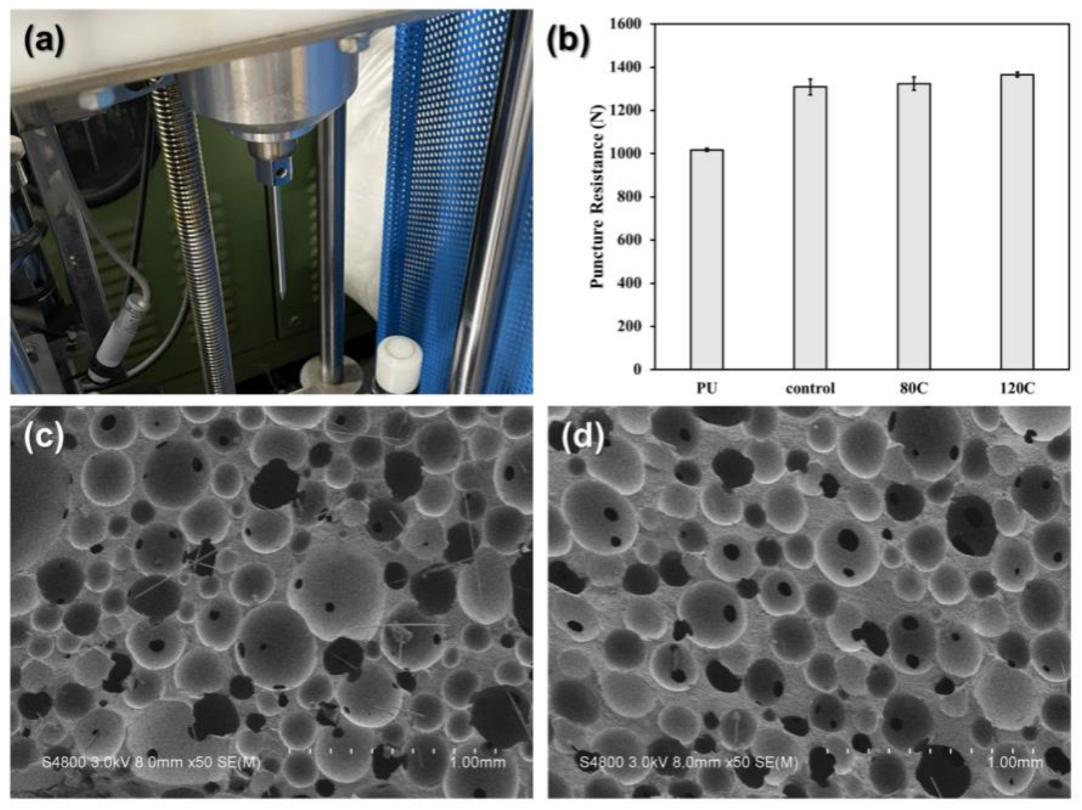 Polymers 15 00424 g005 Polymers 15 00424 g005