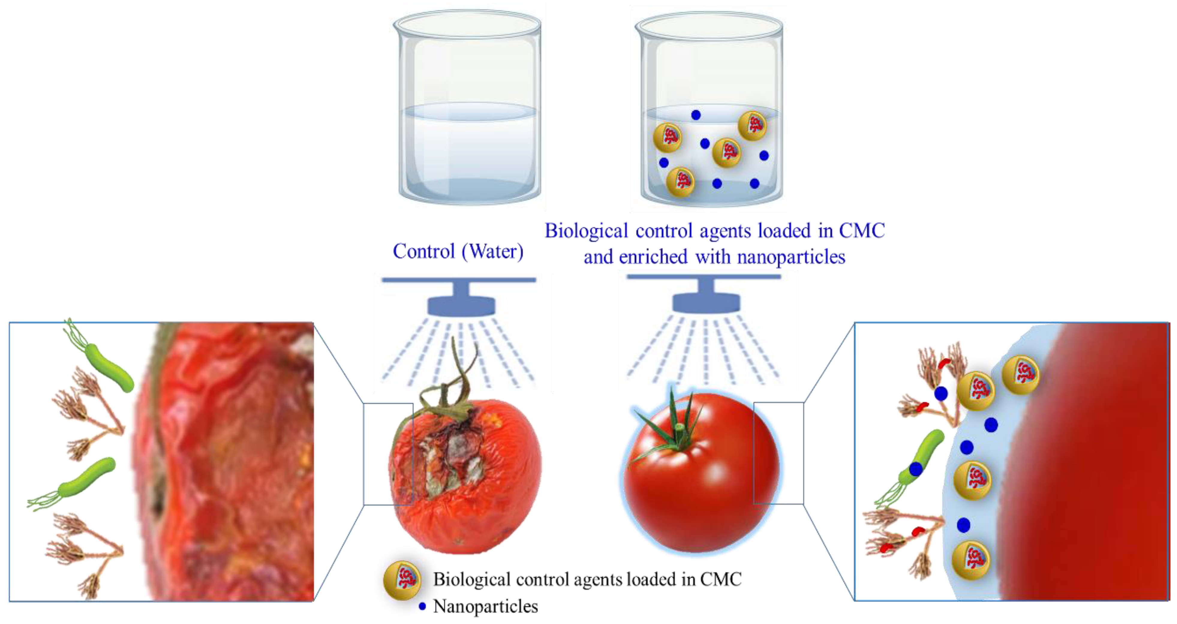 Polymers 15 00440 g010