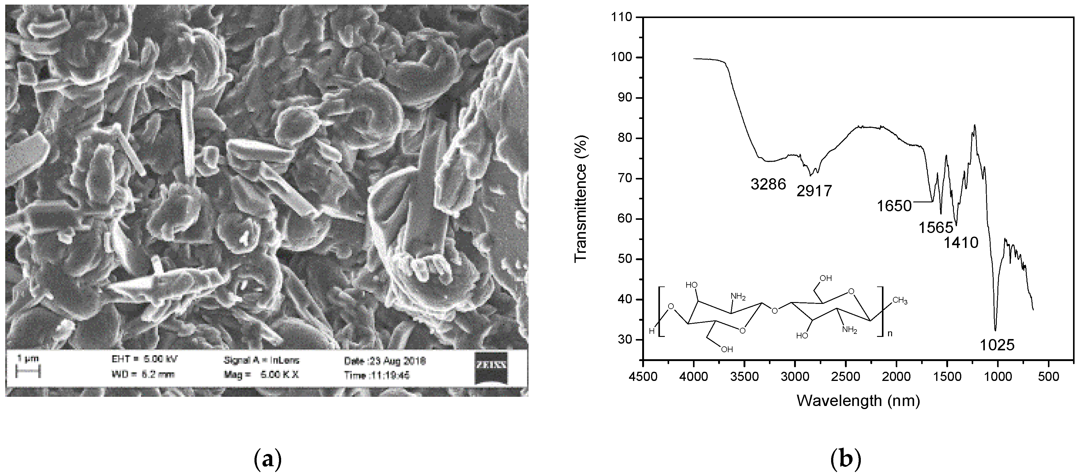 Polymers 15 00442 g004