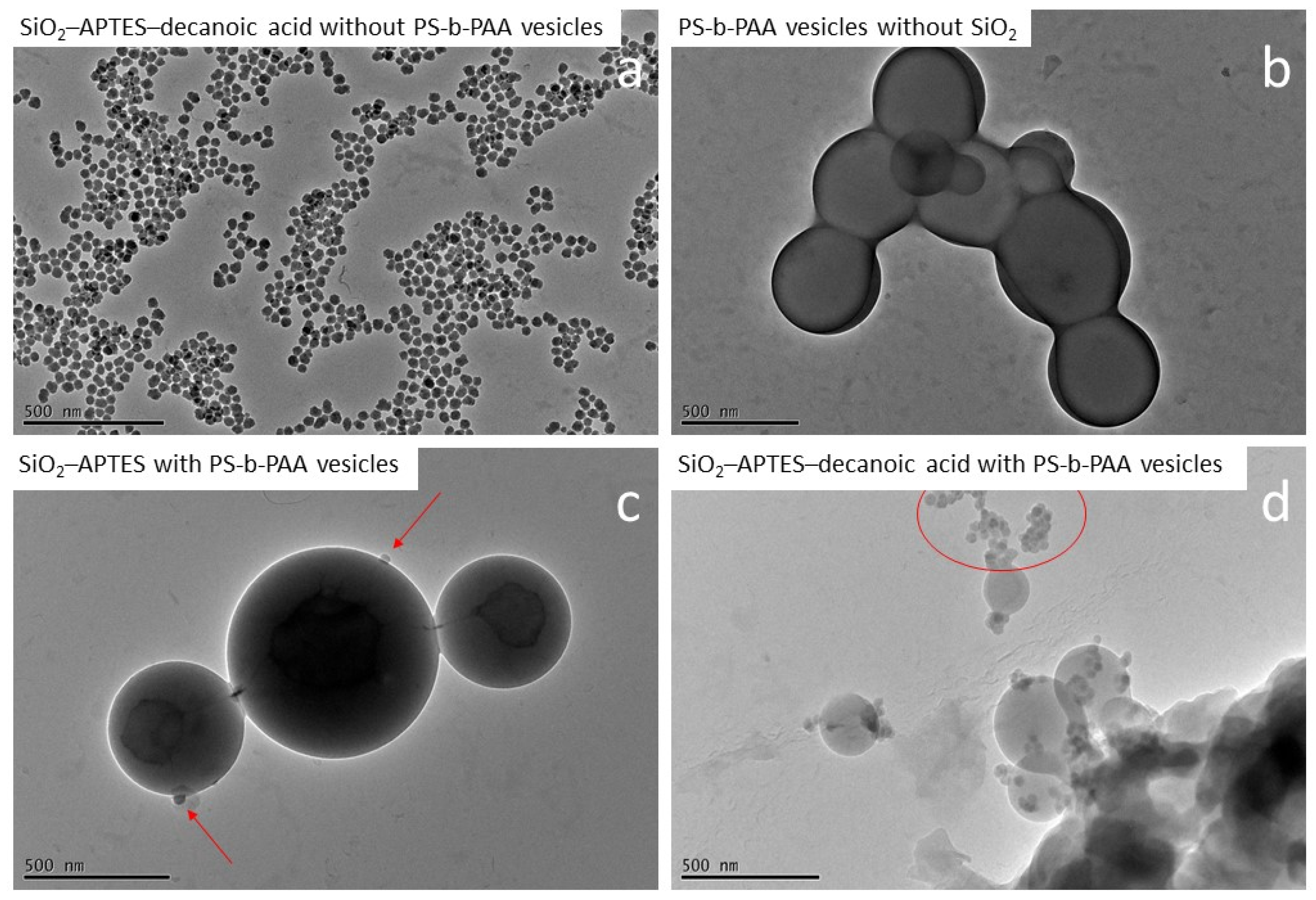 Polymers 15 00444 g009 Polymers 15 00444 g009