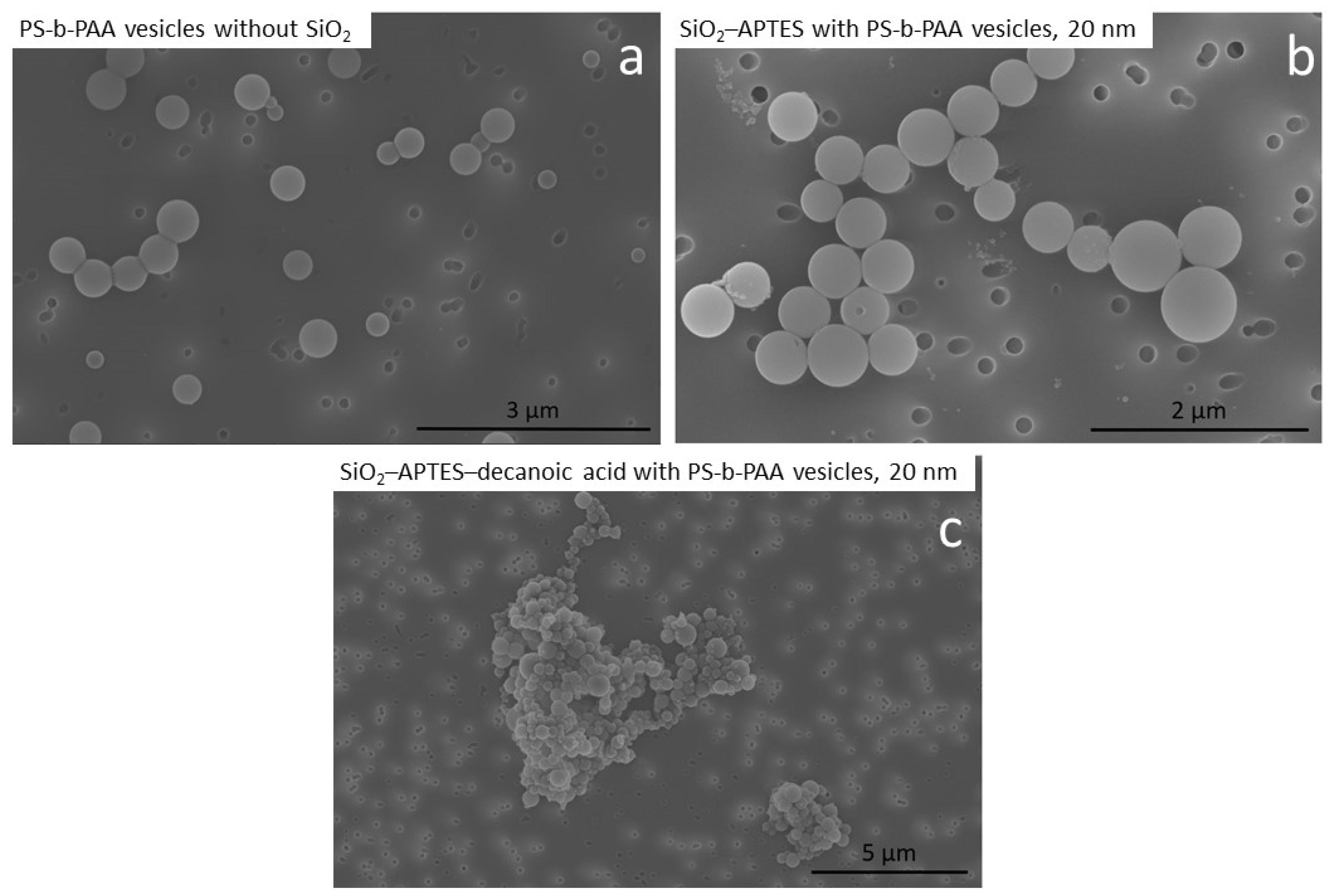 Polymers 15 00444 g010 Polymers 15 00444 g010