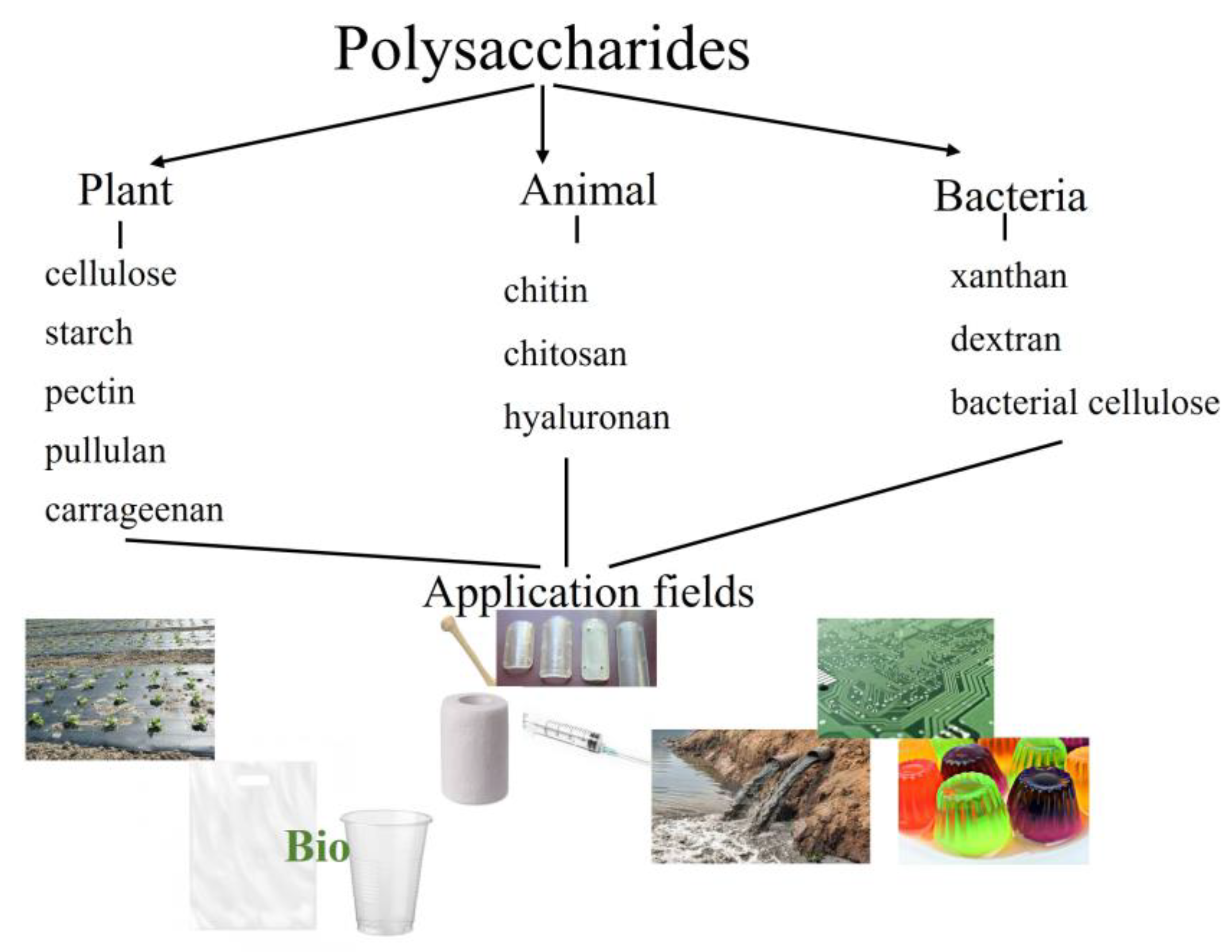 Polymers | Free Full-Text | Polysaccharides for Biodegradable Packaging  Materials: Past, Present, and Future (Brief Review)
