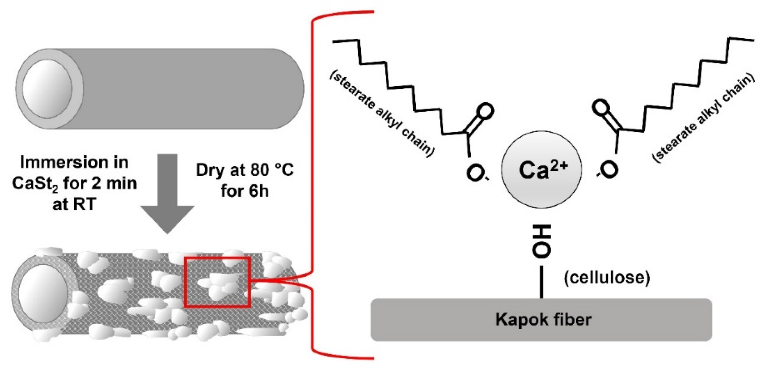 Polymers 15 00452 g005