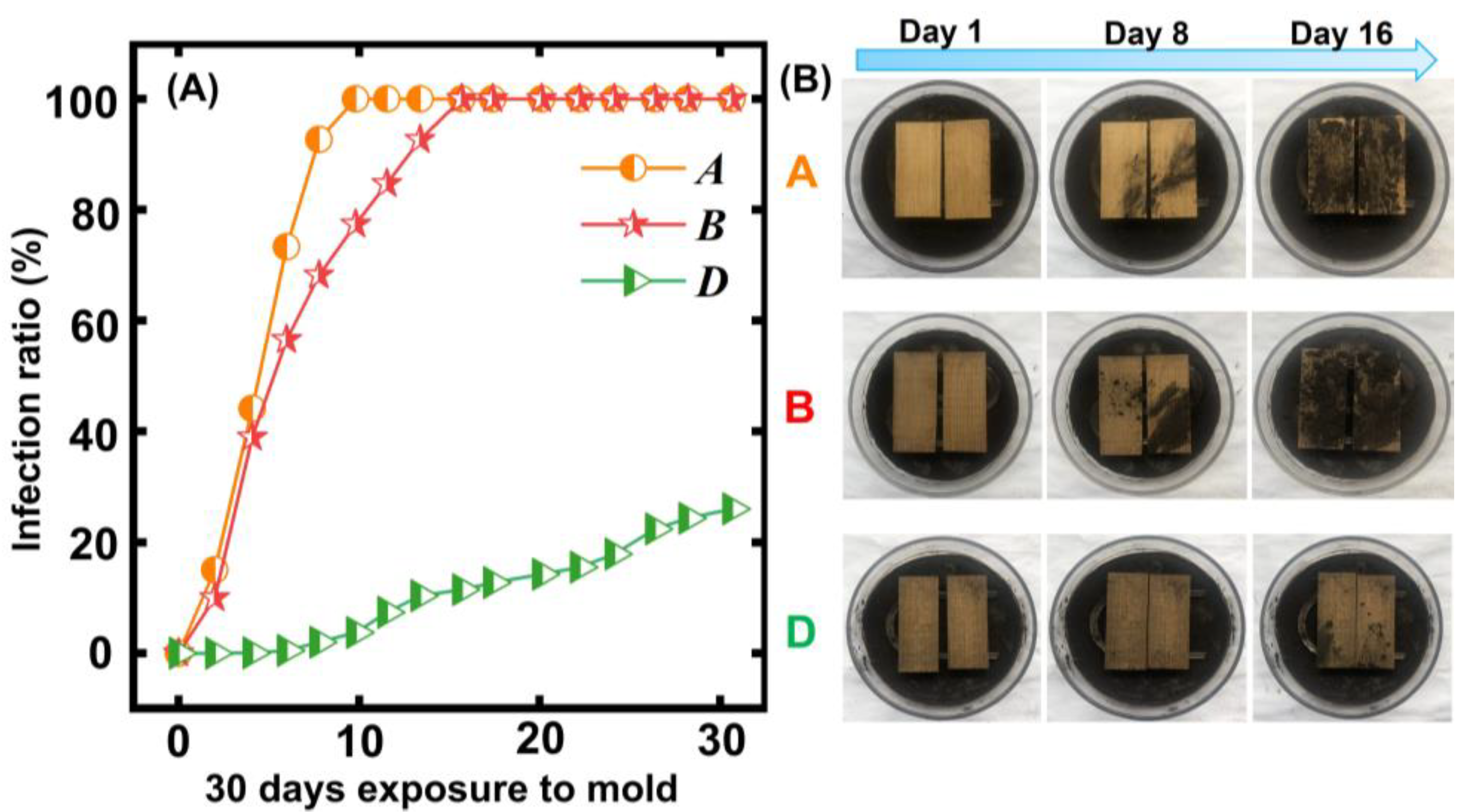 Polymers 15 00453 g006